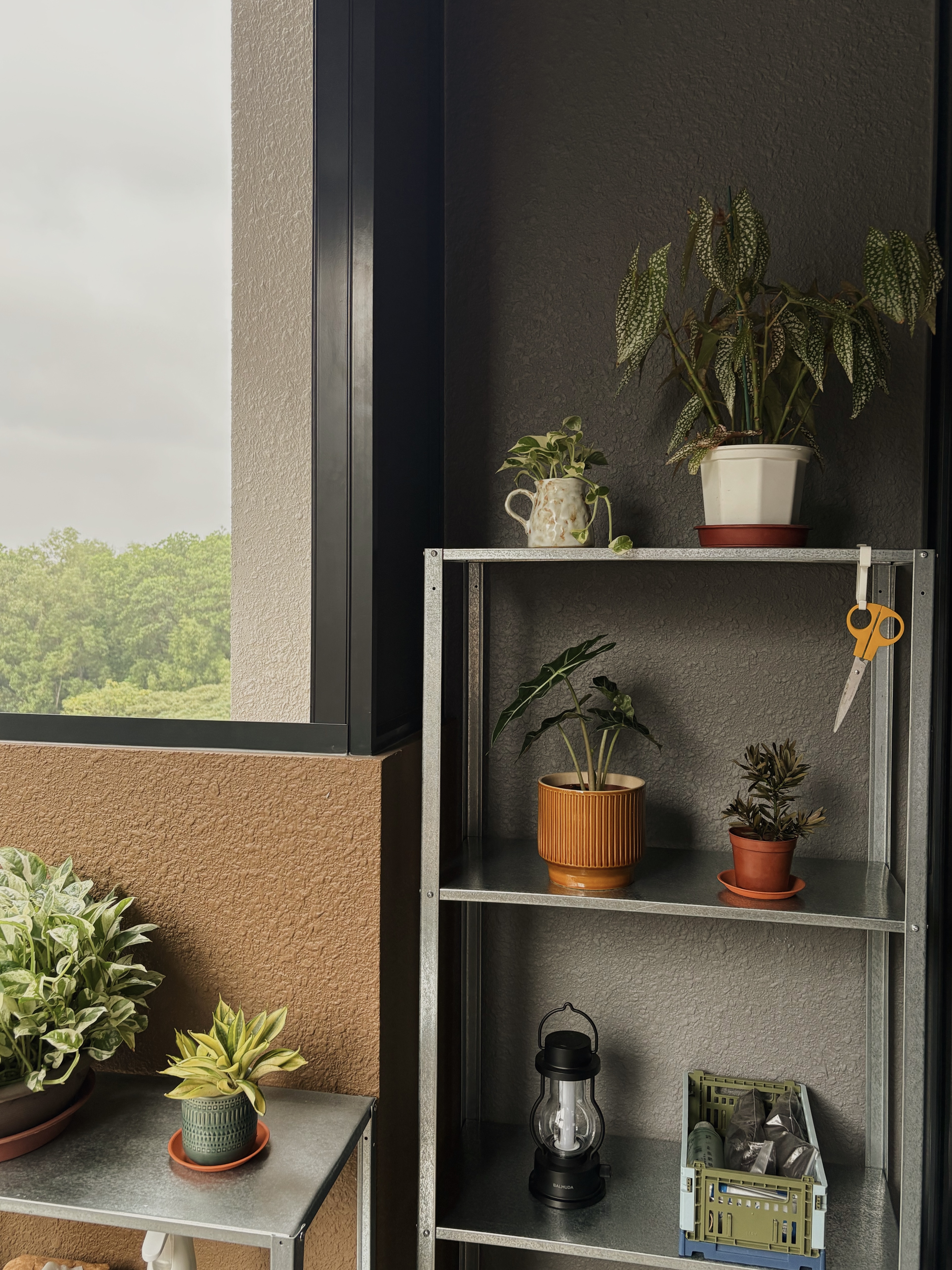 warm woody tones in our mid century abode. (<30k reno)