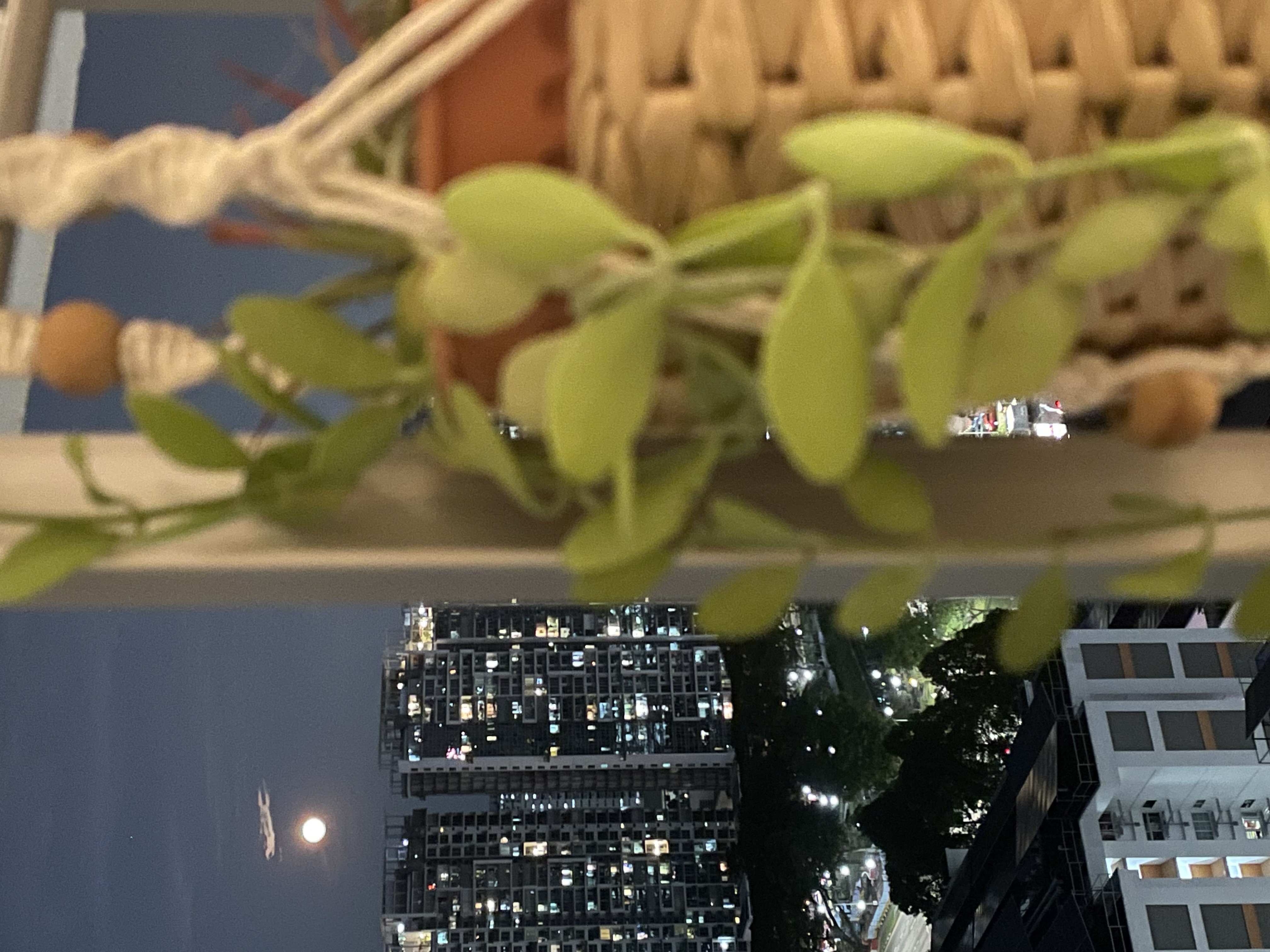 House Tour: A Thrifted Rental Flat Styled like a Home Cafe