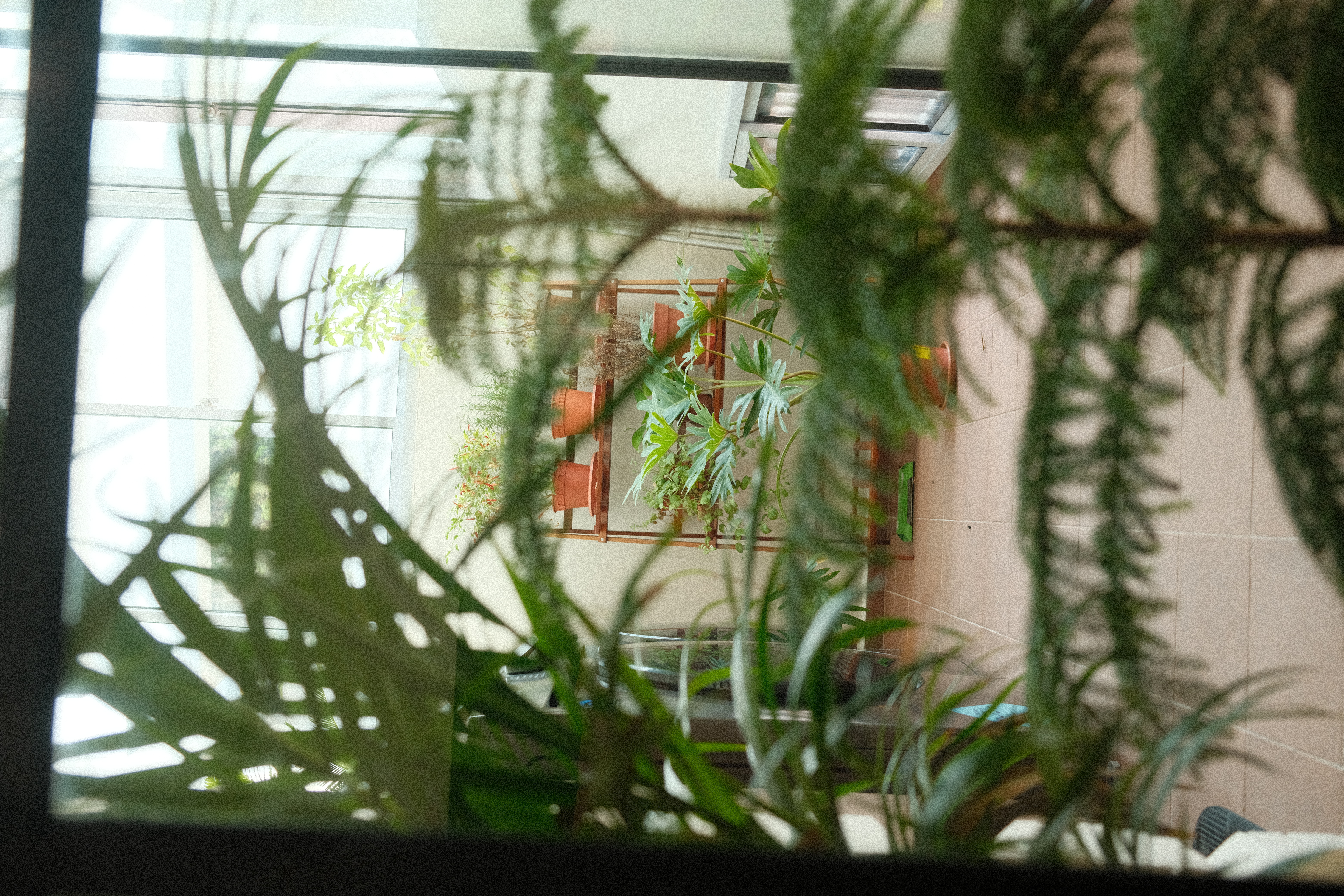 Inside our Bright & Breezy 5-Room Resale Organic Modern Home