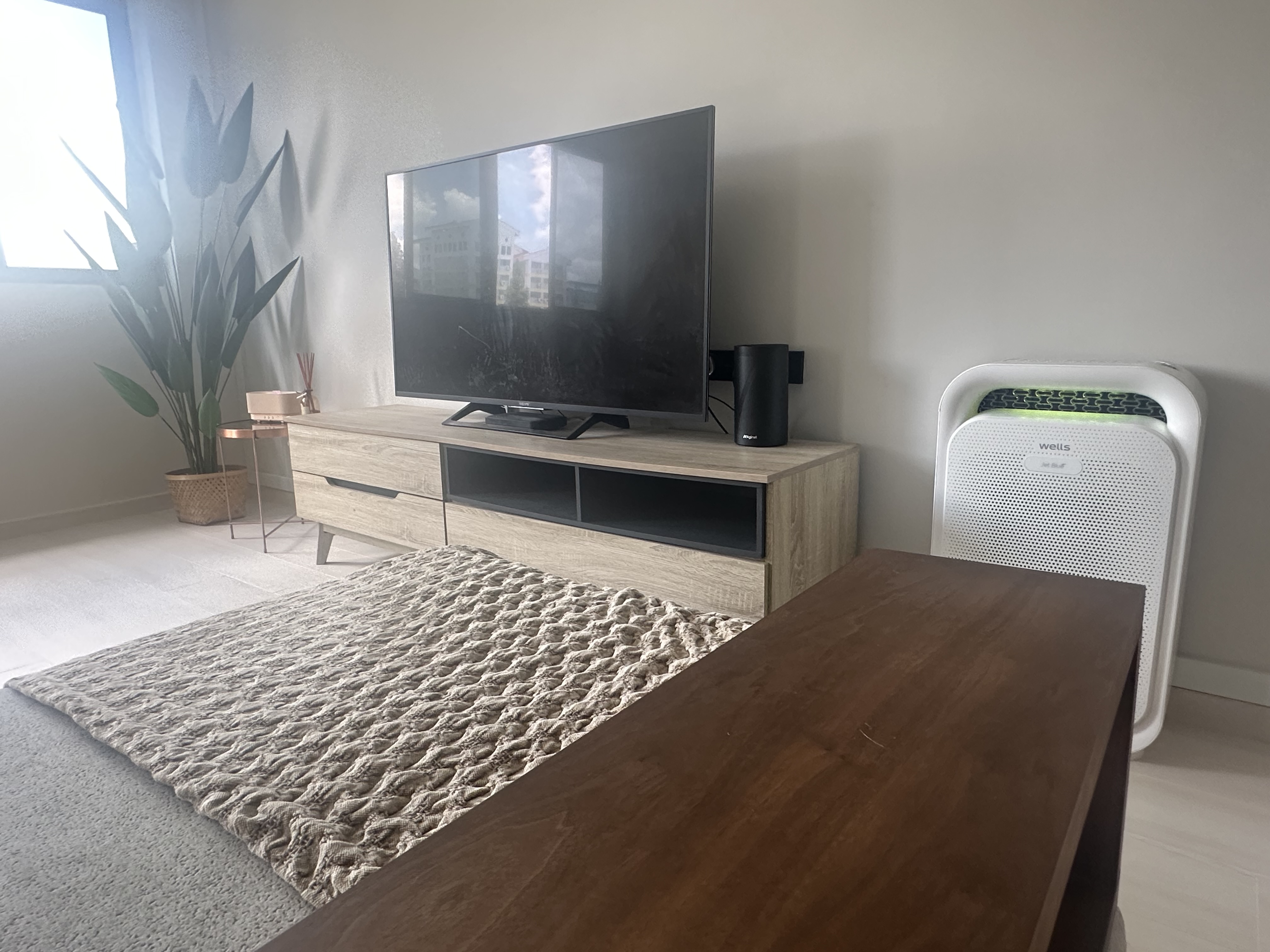 Light & Life: A Family-Friendly Living Room with Style & Space to Grow