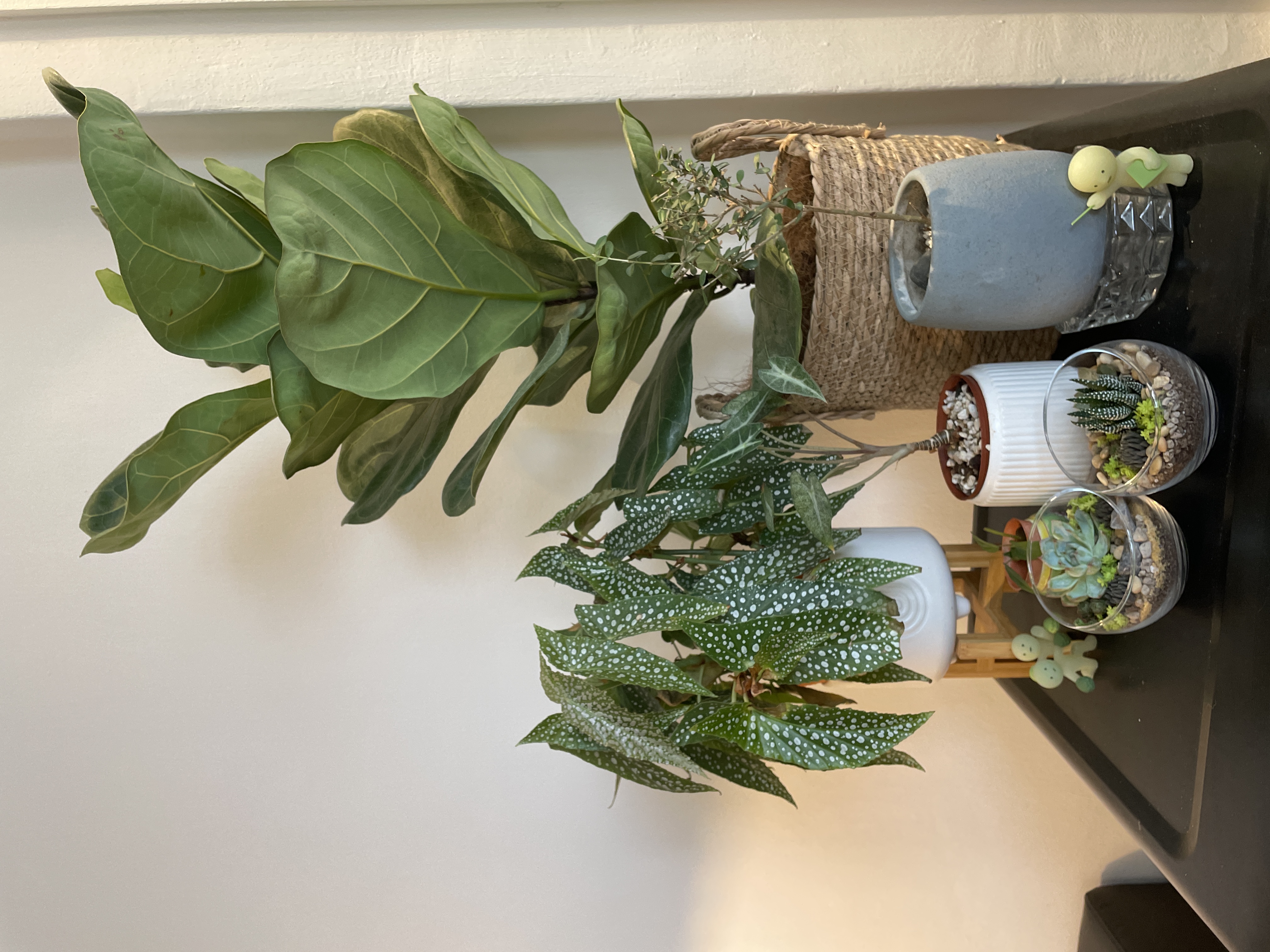 Our Living Room: A Calm Therapist’s Office or Mid Century Modern Livin