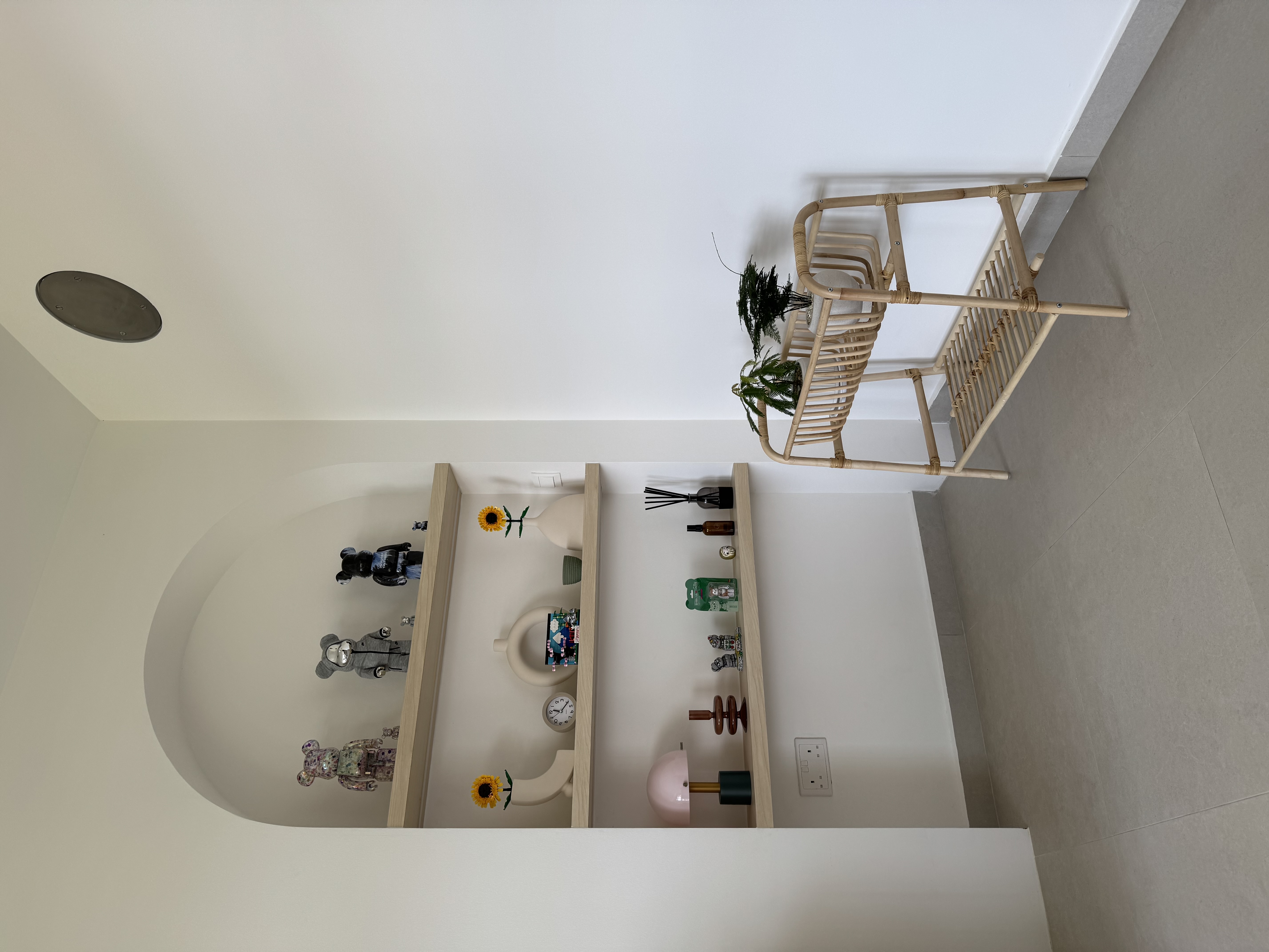 Our-Planty-Life-🌱