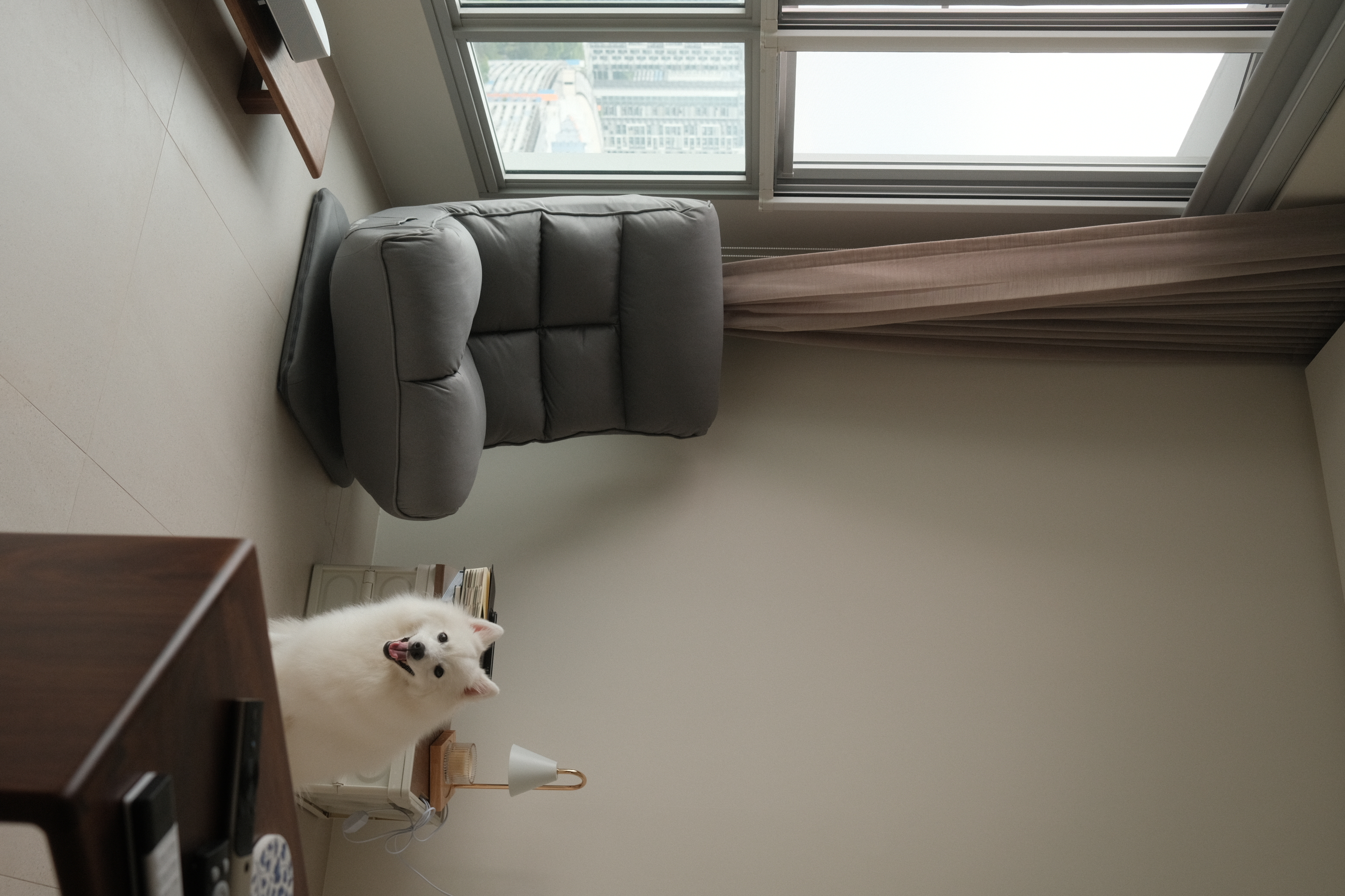 From Cosy Living Room to Home Cinema - A homebody’s dream 💭