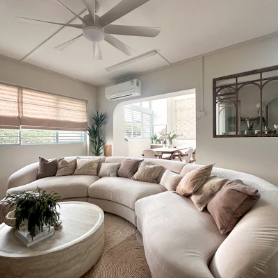 Customer home photo 1: Paws & Practicality: THREE THINGS Most Pet-Owners Have That We Don't!