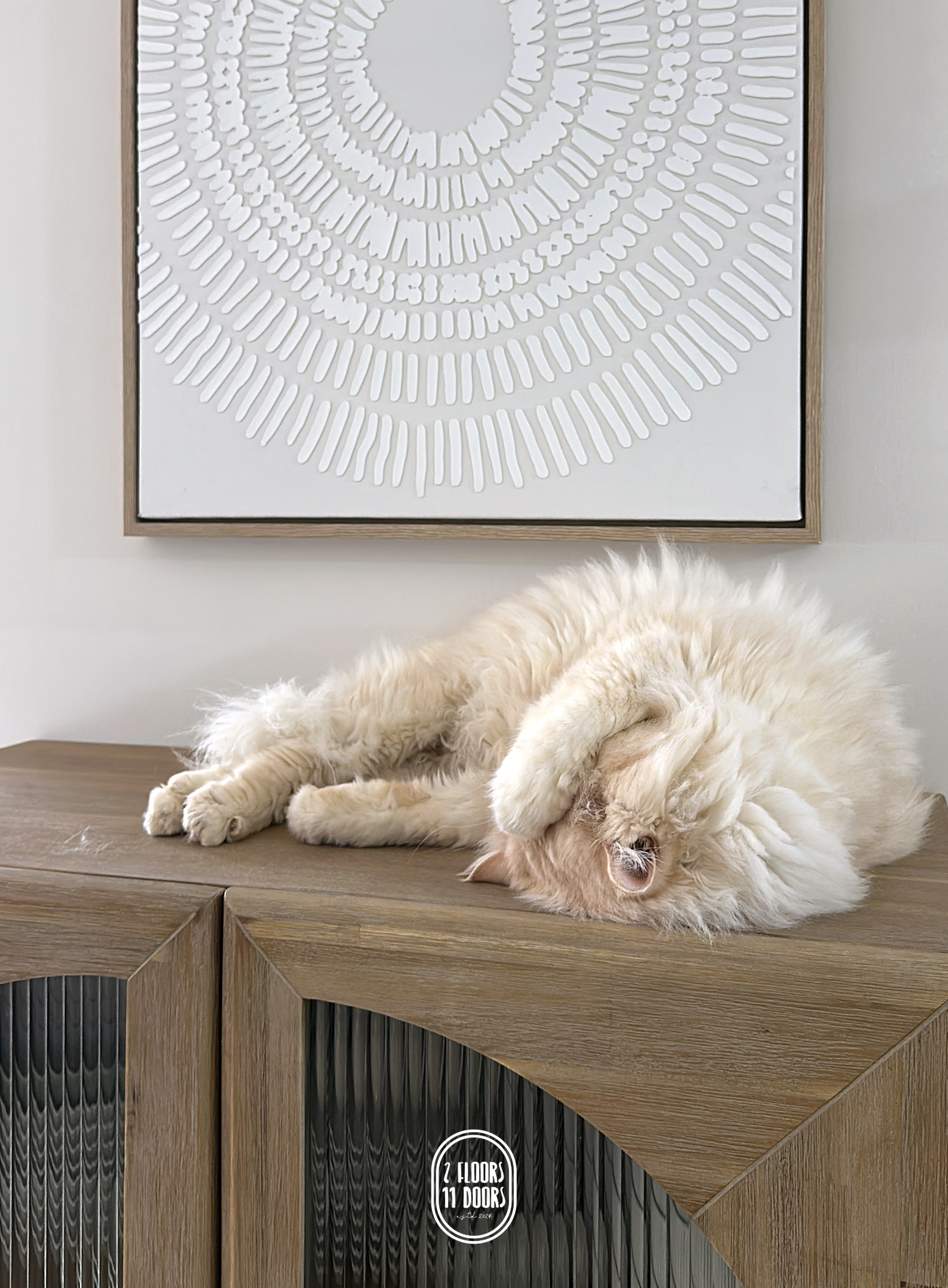 Paws & Practicality: THREE THINGS Most Pet-Owners Have That We Don't!