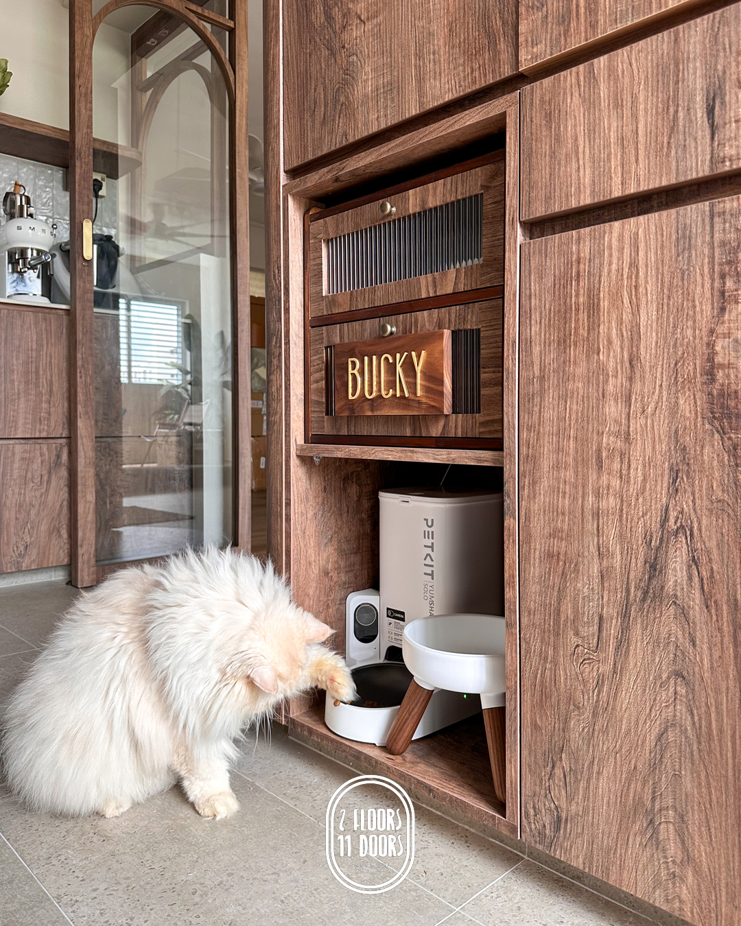 Paws & Practicality: THREE THINGS Most Pet-Owners Have That We Don't!