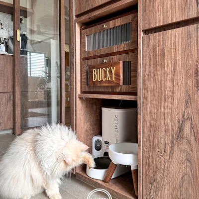 Customer home photo 2: Paws & Practicality: THREE THINGS Most Pet-Owners Have That We Don't!