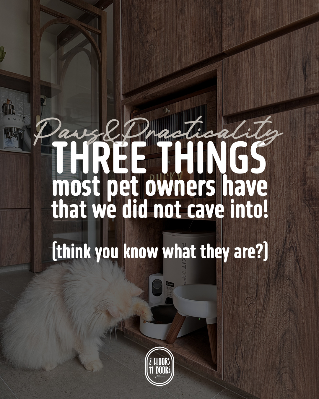 Paws & Practicality: THREE THINGS Most Pet-Owners Have That We Don't!