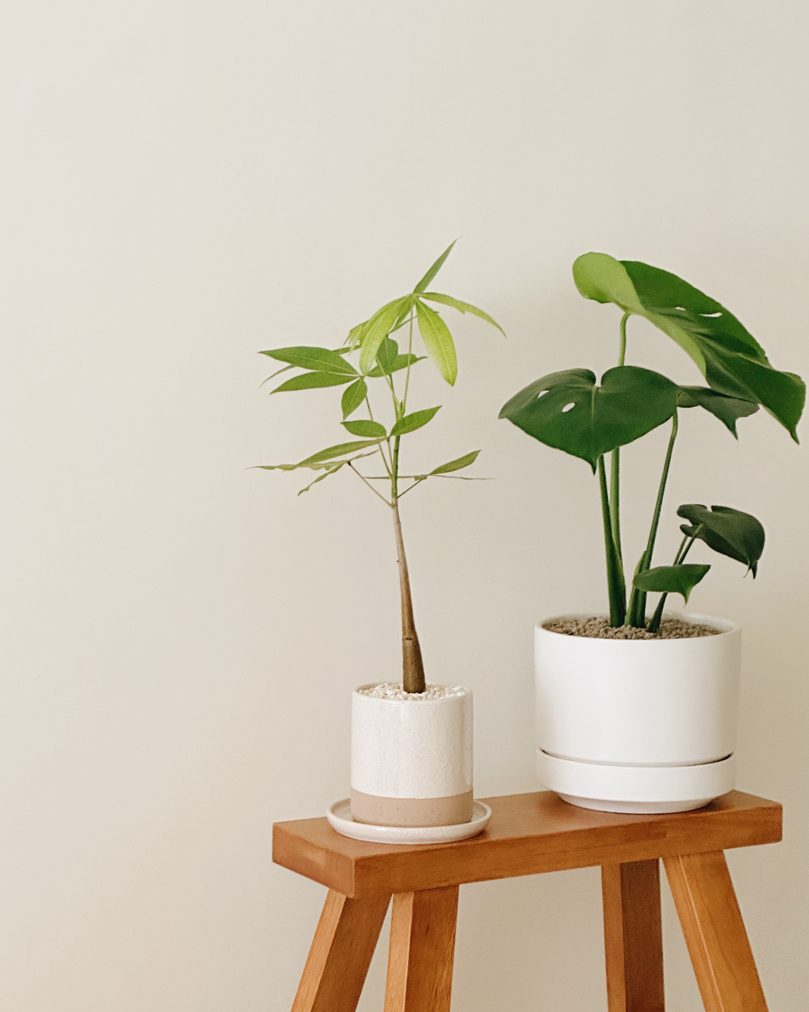 The Quiet Charm of a Minimalist Home