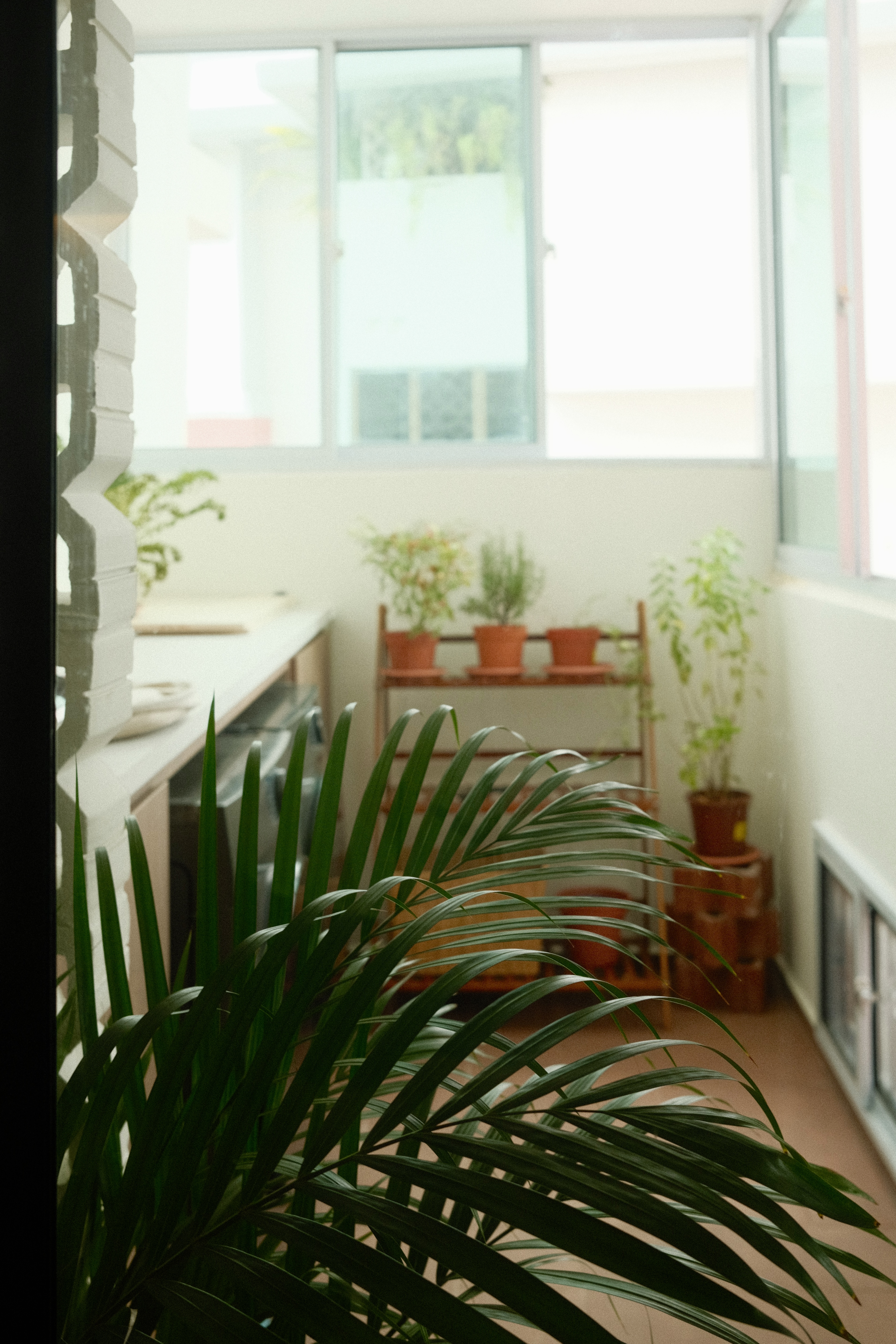 Before and After: Our Service Yard Transformation🪴