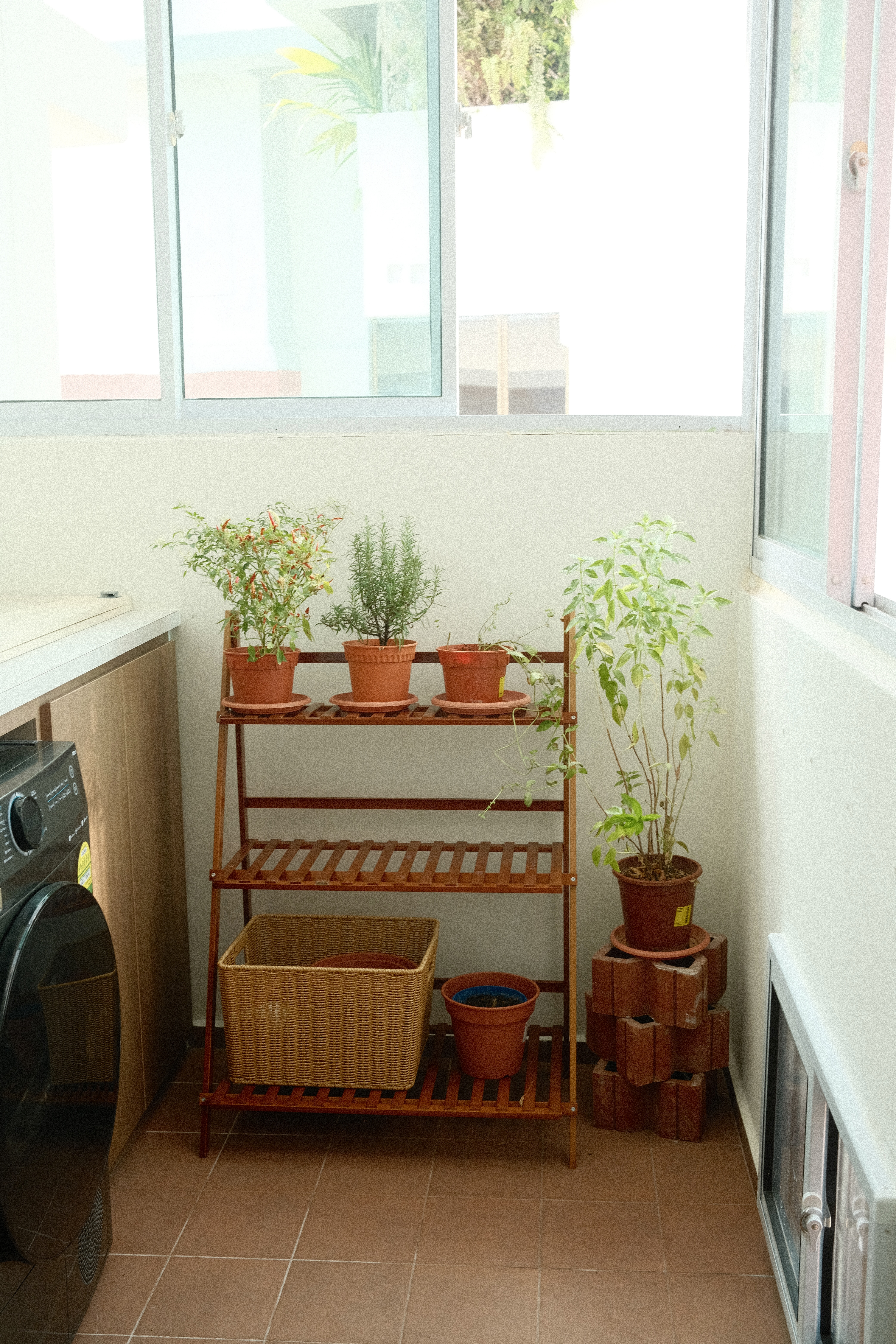 Before-and-After:-Our-Service-Yard-Transformation🪴