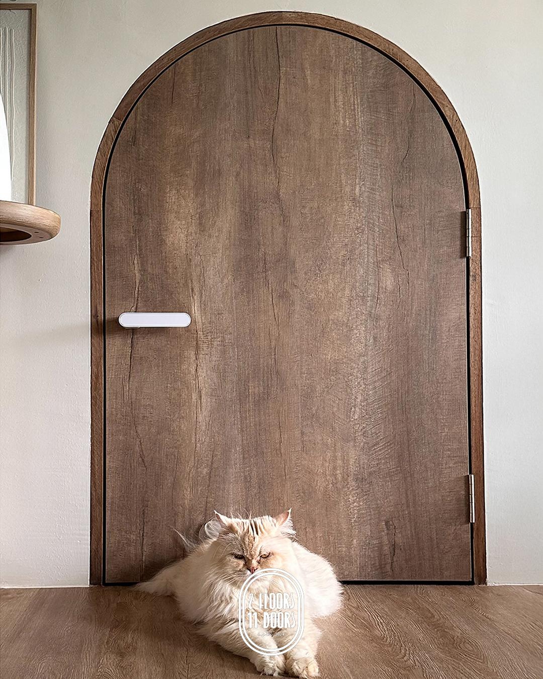 "Where Did You Get That From?"...and other frequently asked questions!