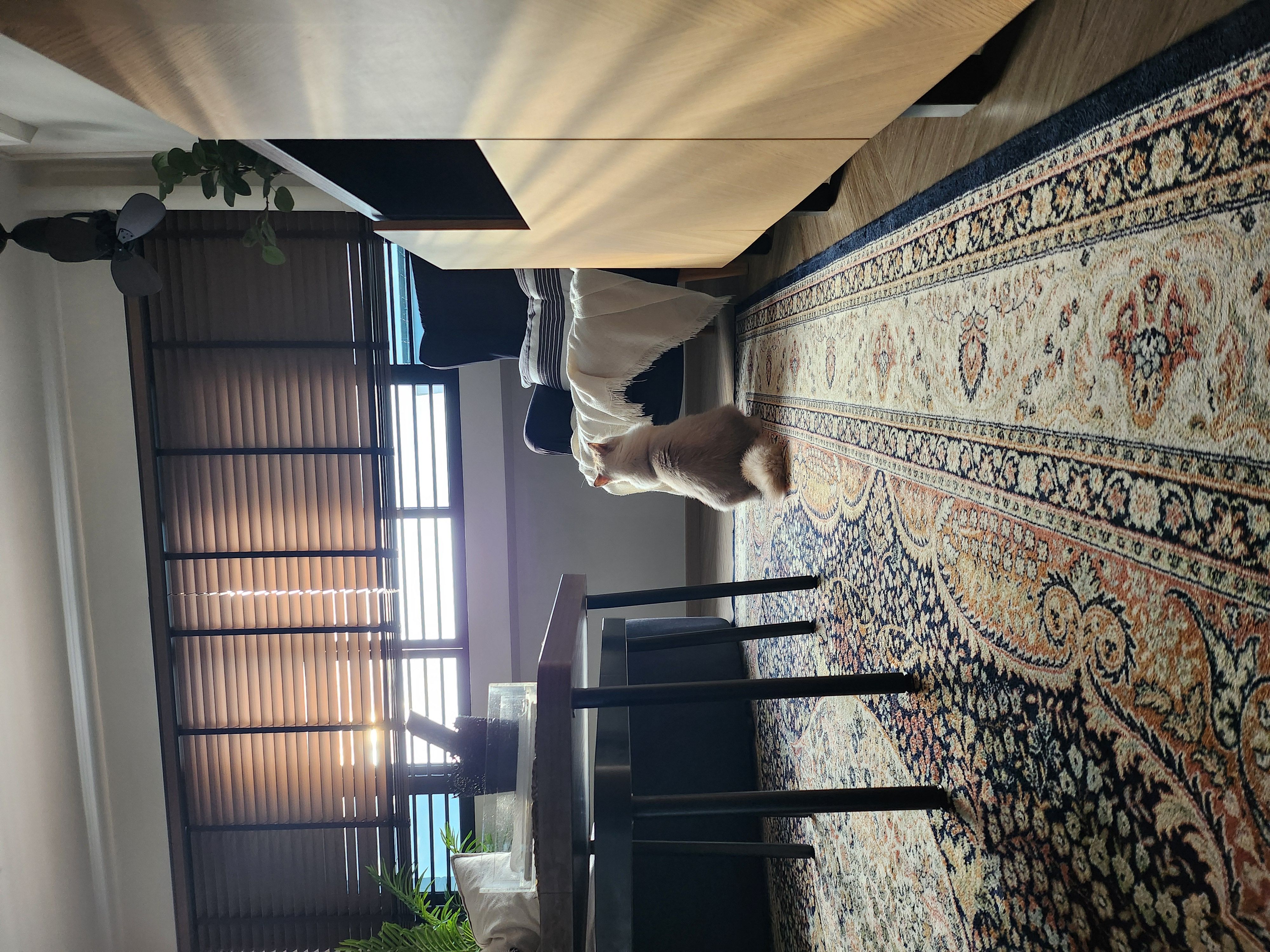 Cosy and functional living room for a family of 5 and 2 furbabies.