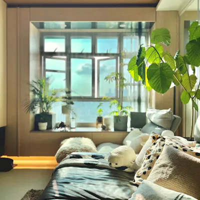 Customer home photo 2: ✨ Discover the Secret to Our Cozy Living Room! 🛋️