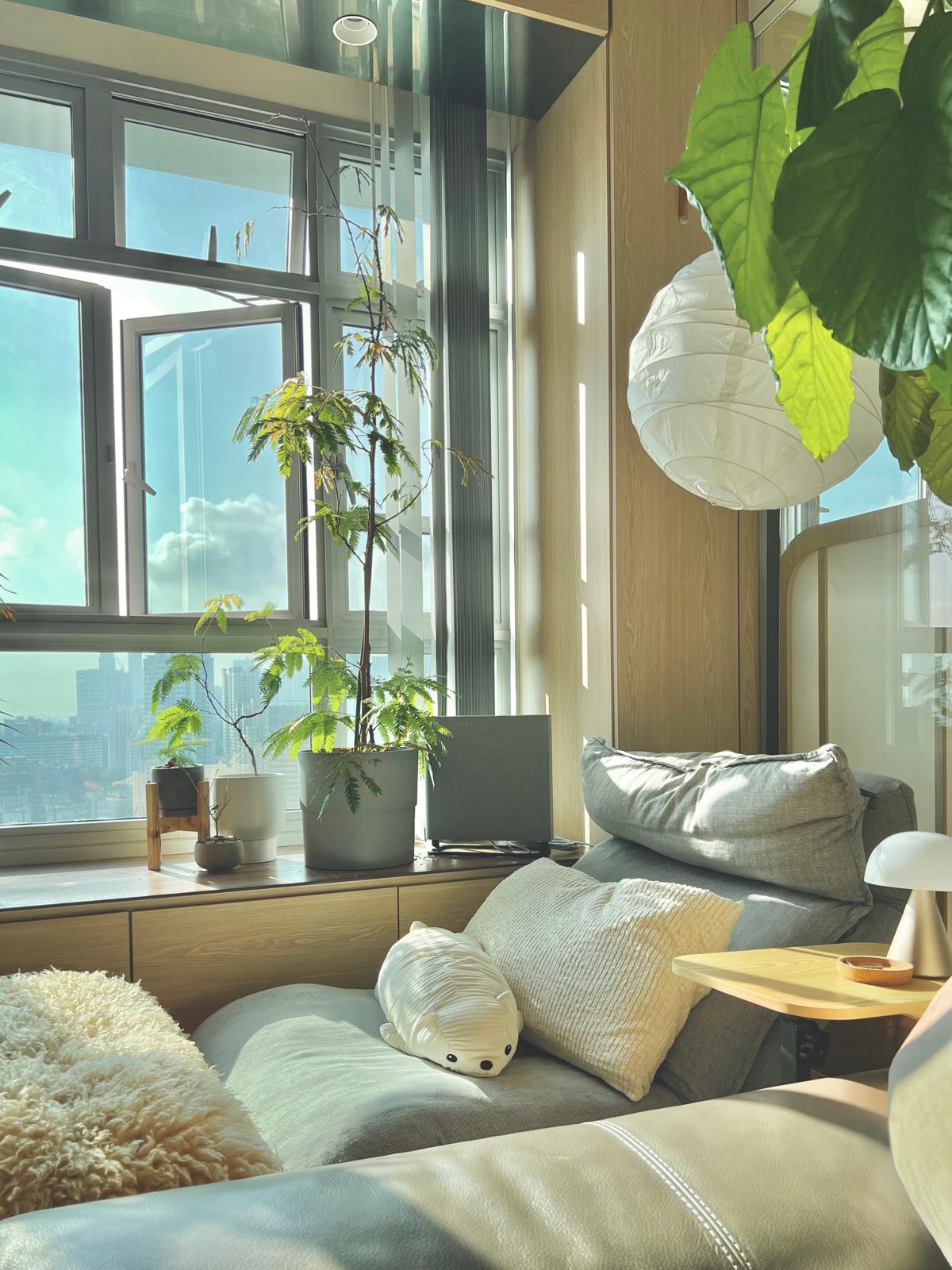 ✨ Discover the Secret to Our Cozy Living Room! 🛋️