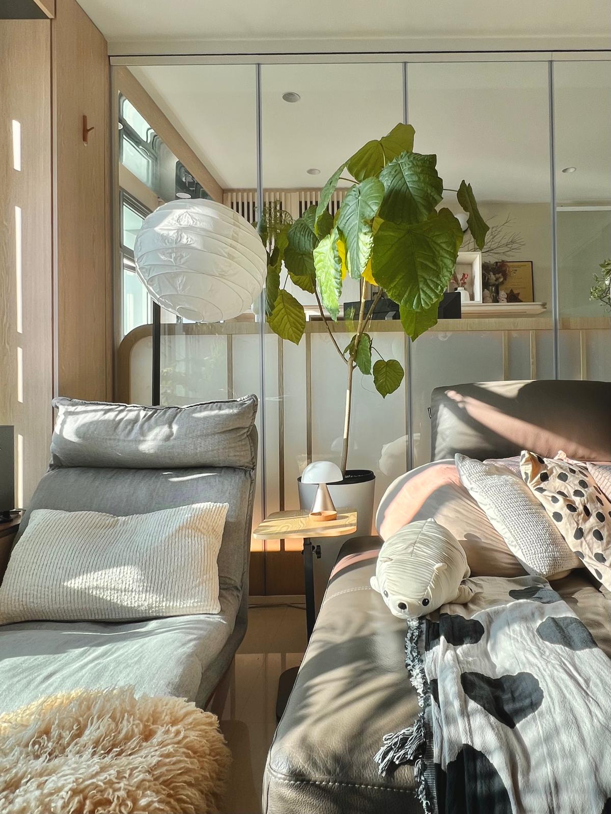 ✨ Discover the Secret to Our Cozy Living Room! 🛋️