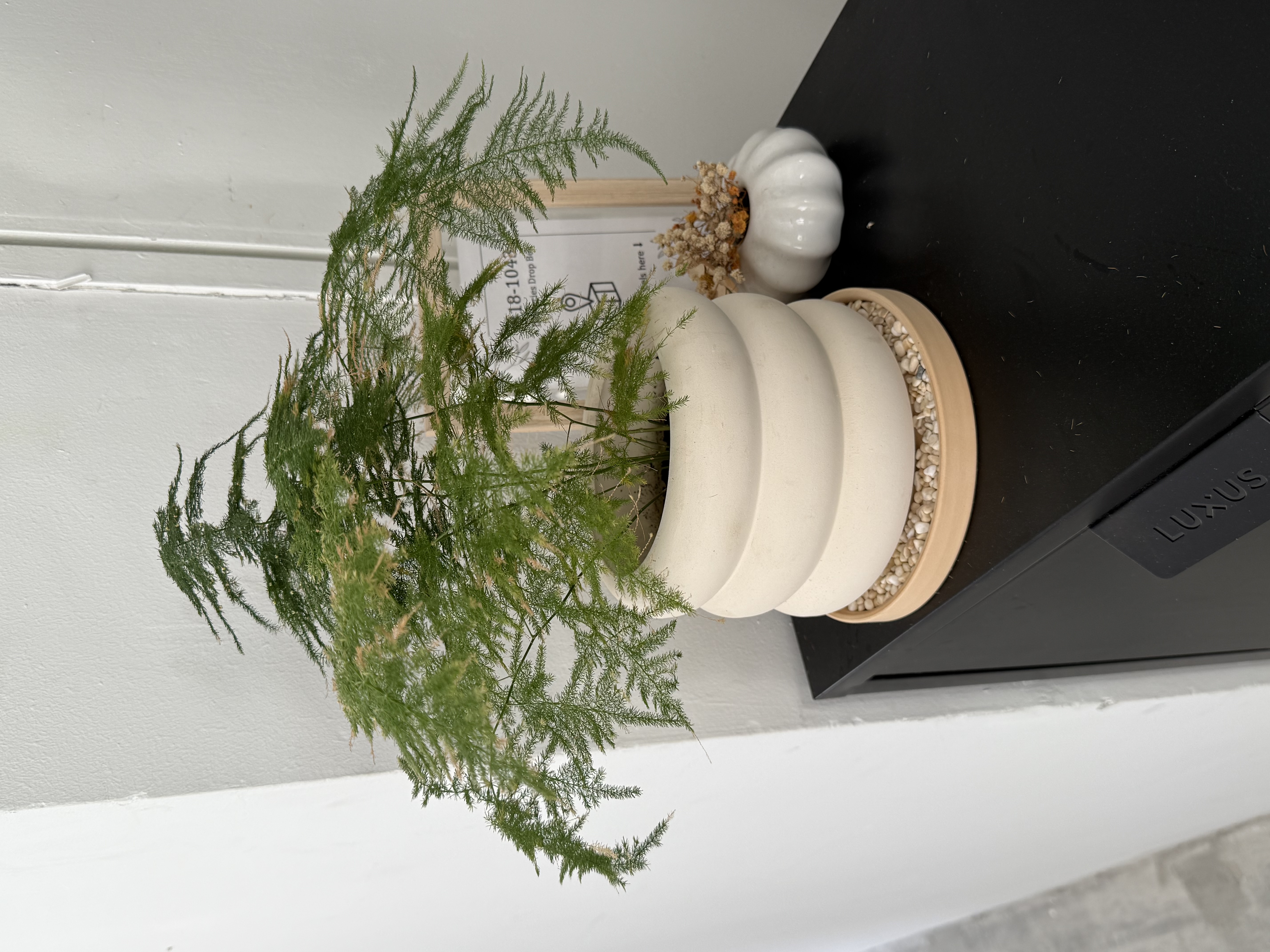 Making our entrance uniquely ours without spending much