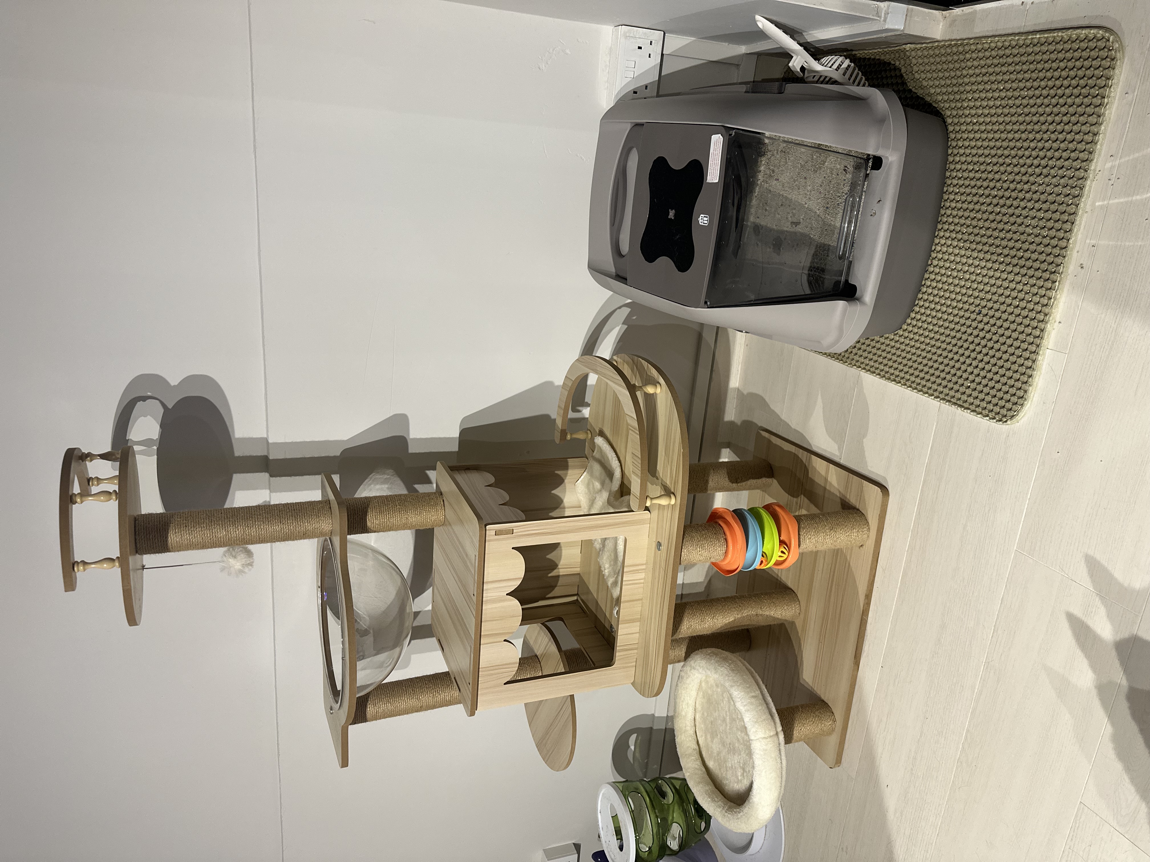 Meowst-Haves: Top Cat Products to Purrfect Your Home