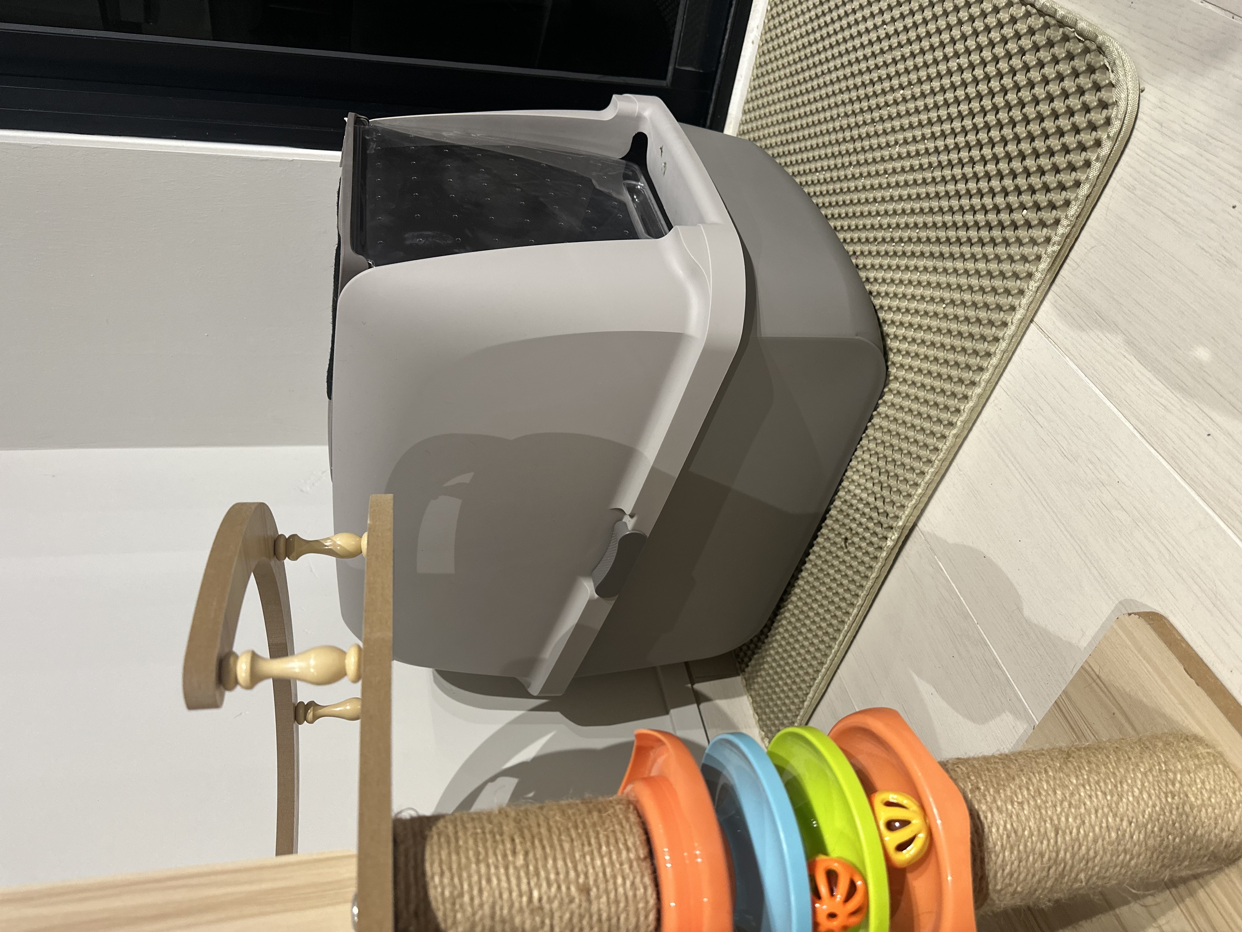 Meowst-Haves: Top Cat Products to Purrfect Your Home