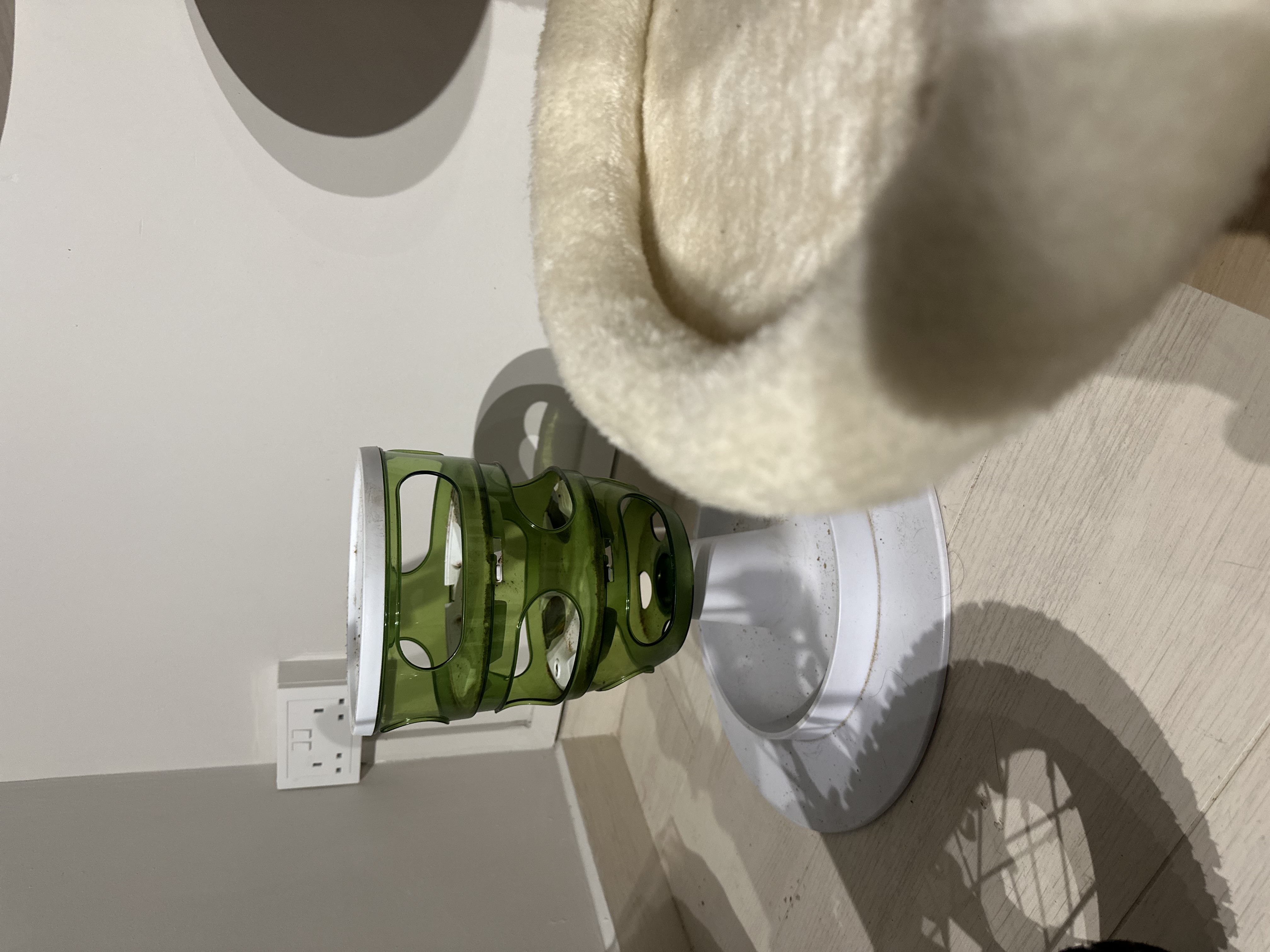 Meowst-Haves: Top Cat Products to Purrfect Your Home