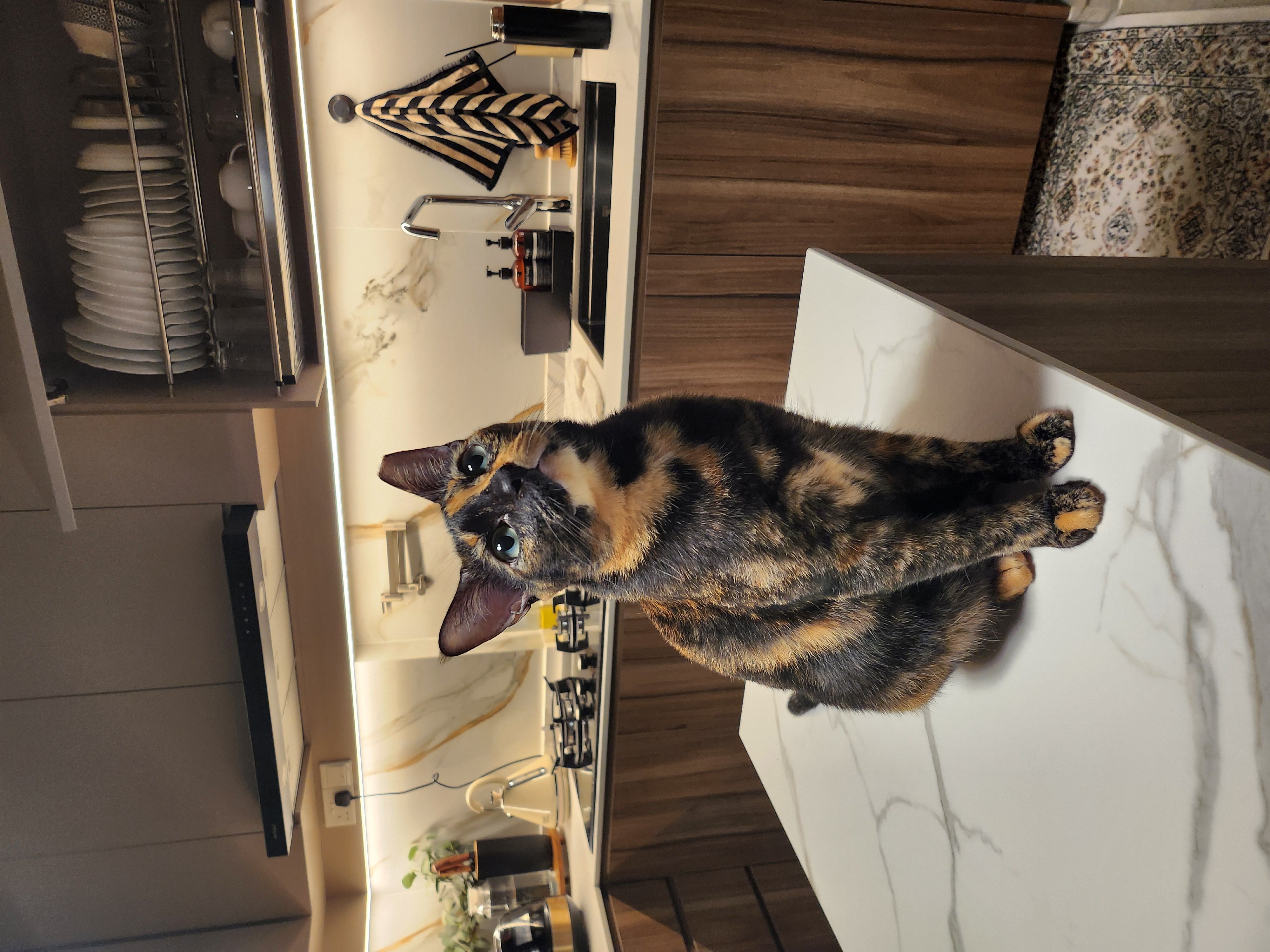 Closed & Squarish Kitchen : How we make it work!