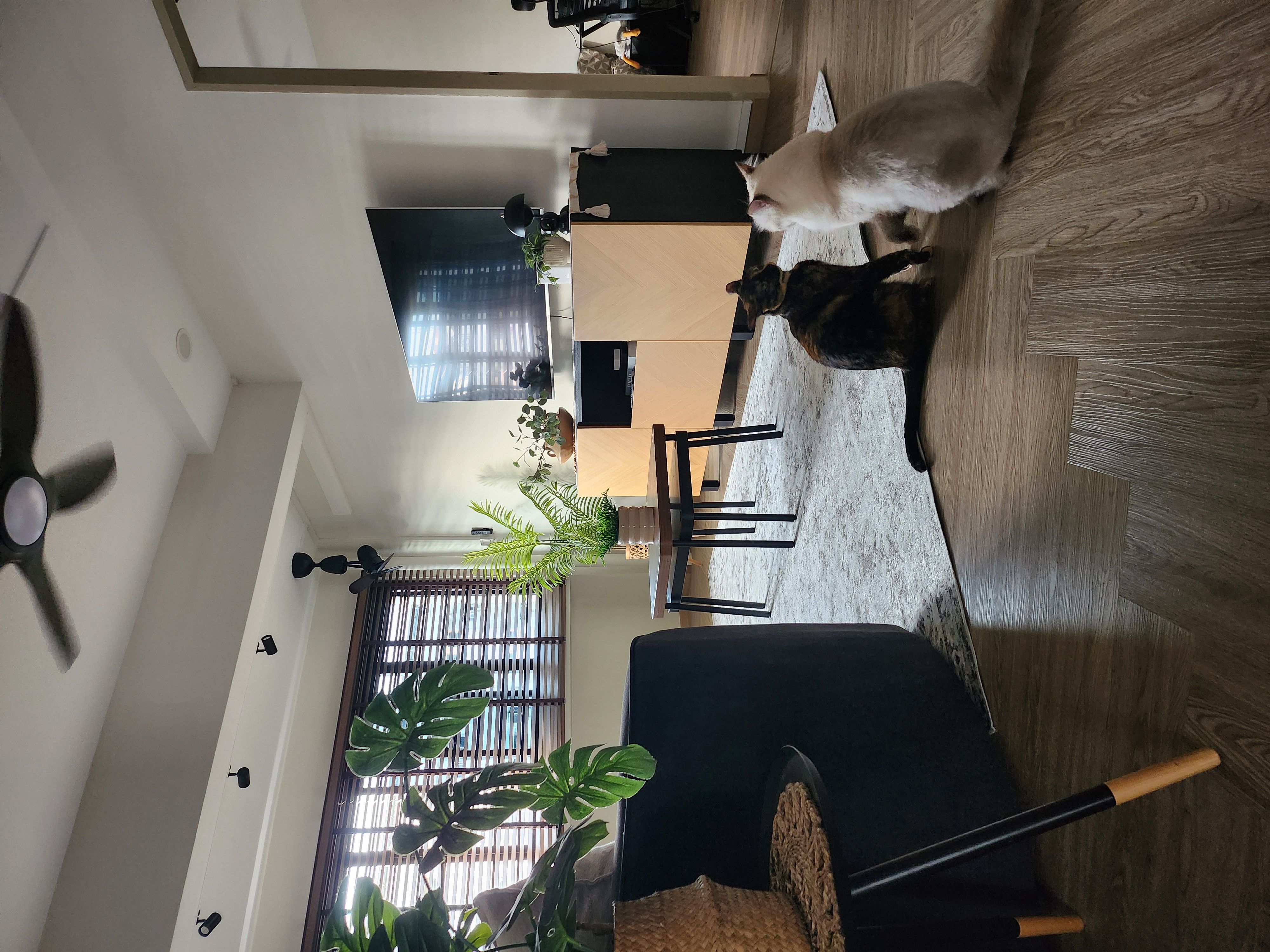 Cosy-and-functional-living-room-for-a-family-of-5-and-2-furbabies.
