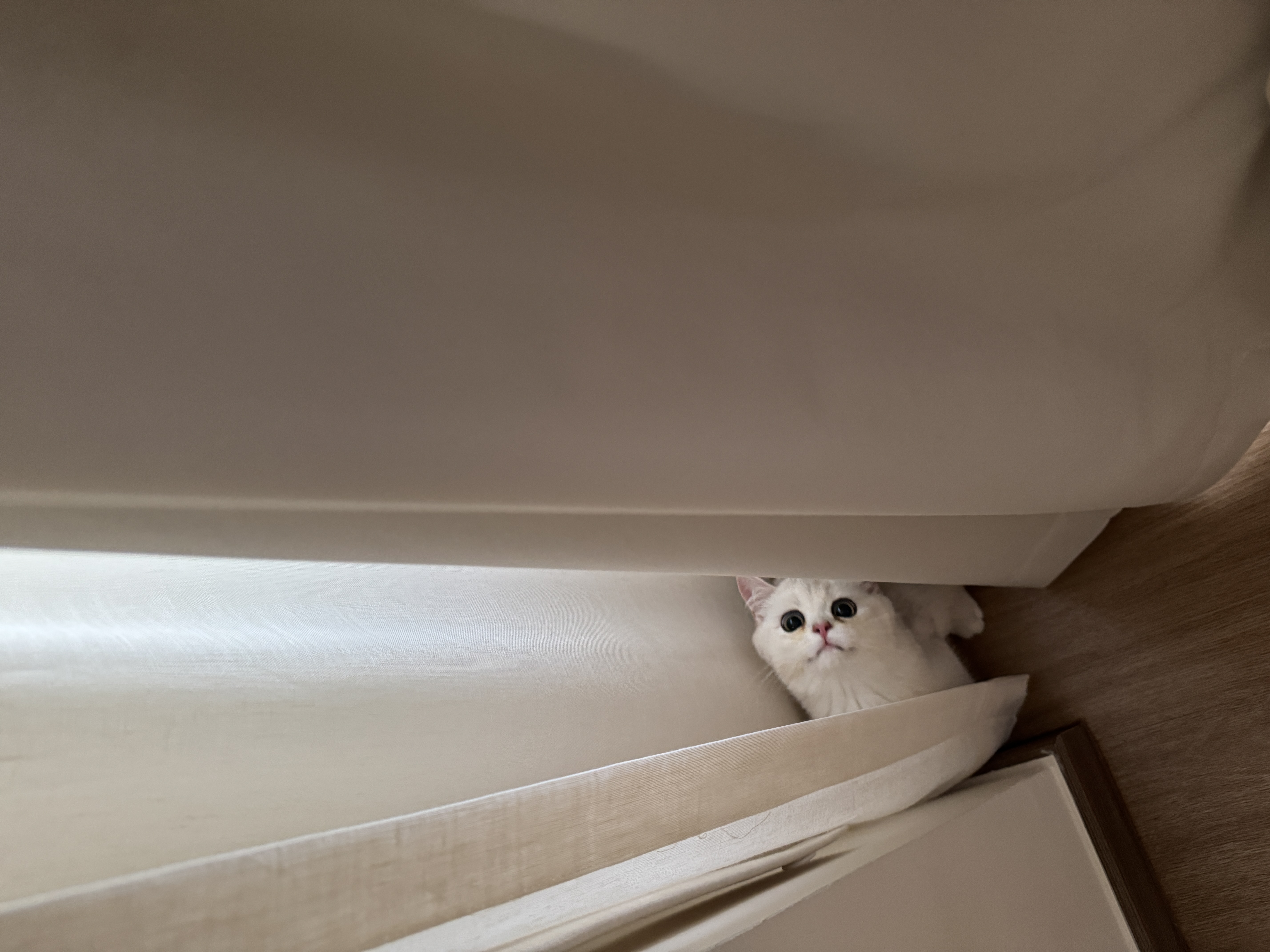 Our-Cream-Minimalist-Bedroom:-Where-Form-Meets-Function-🍦☁️