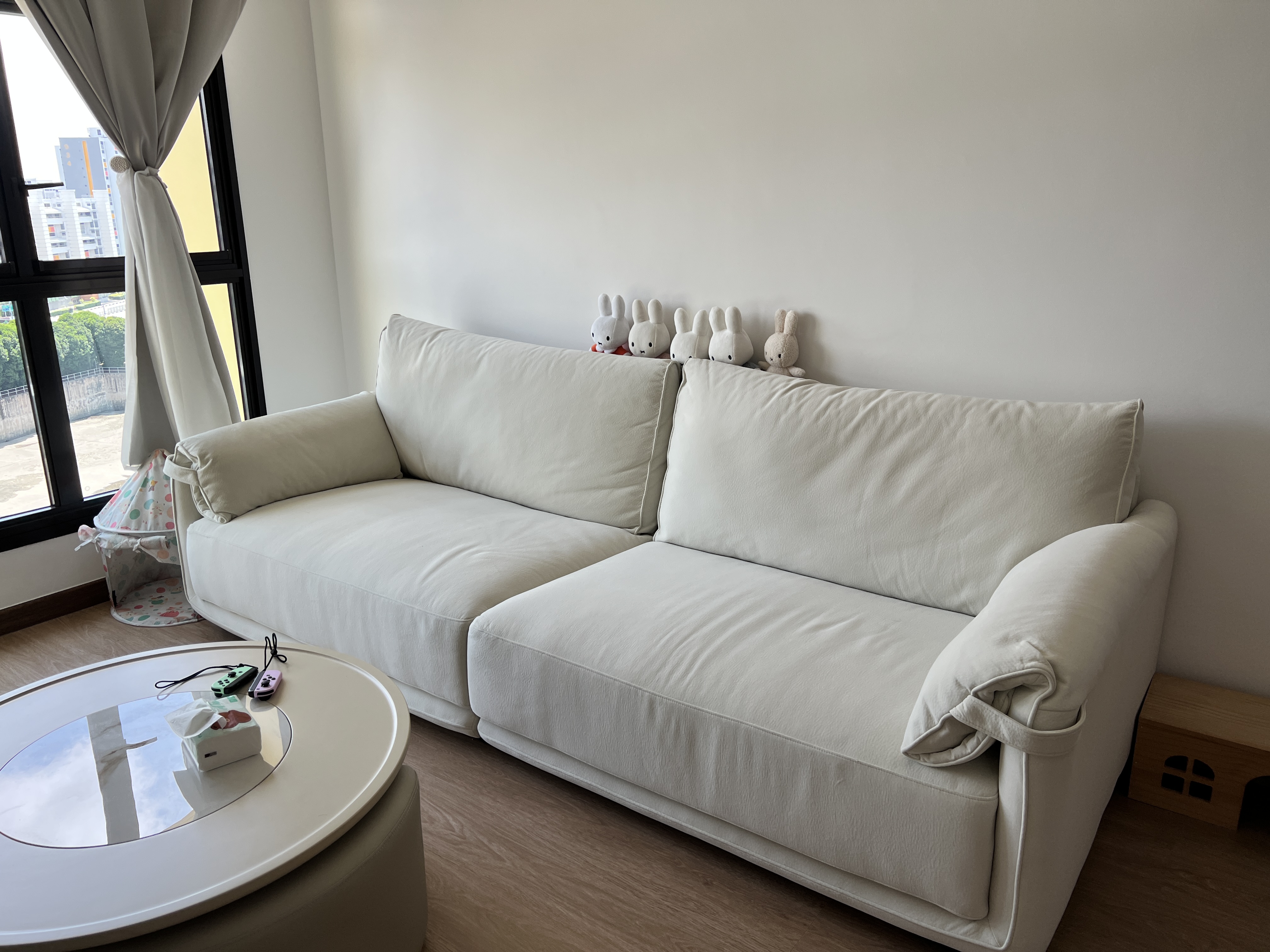 Our-Cozy-Sofa!!-it-is-scratch-resistant!!-(pet-friendly)