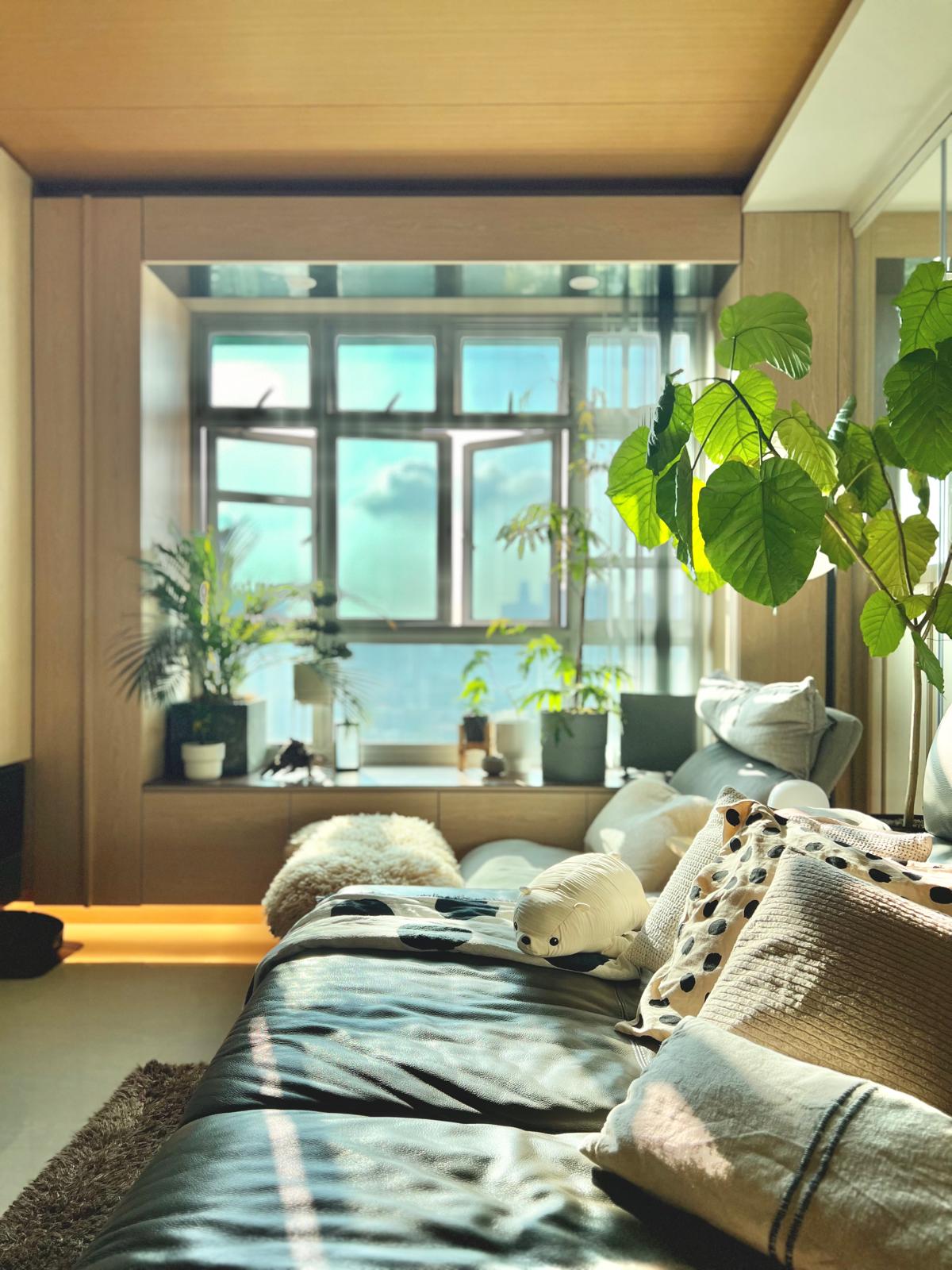 Rendering the Dream, Living the Reality