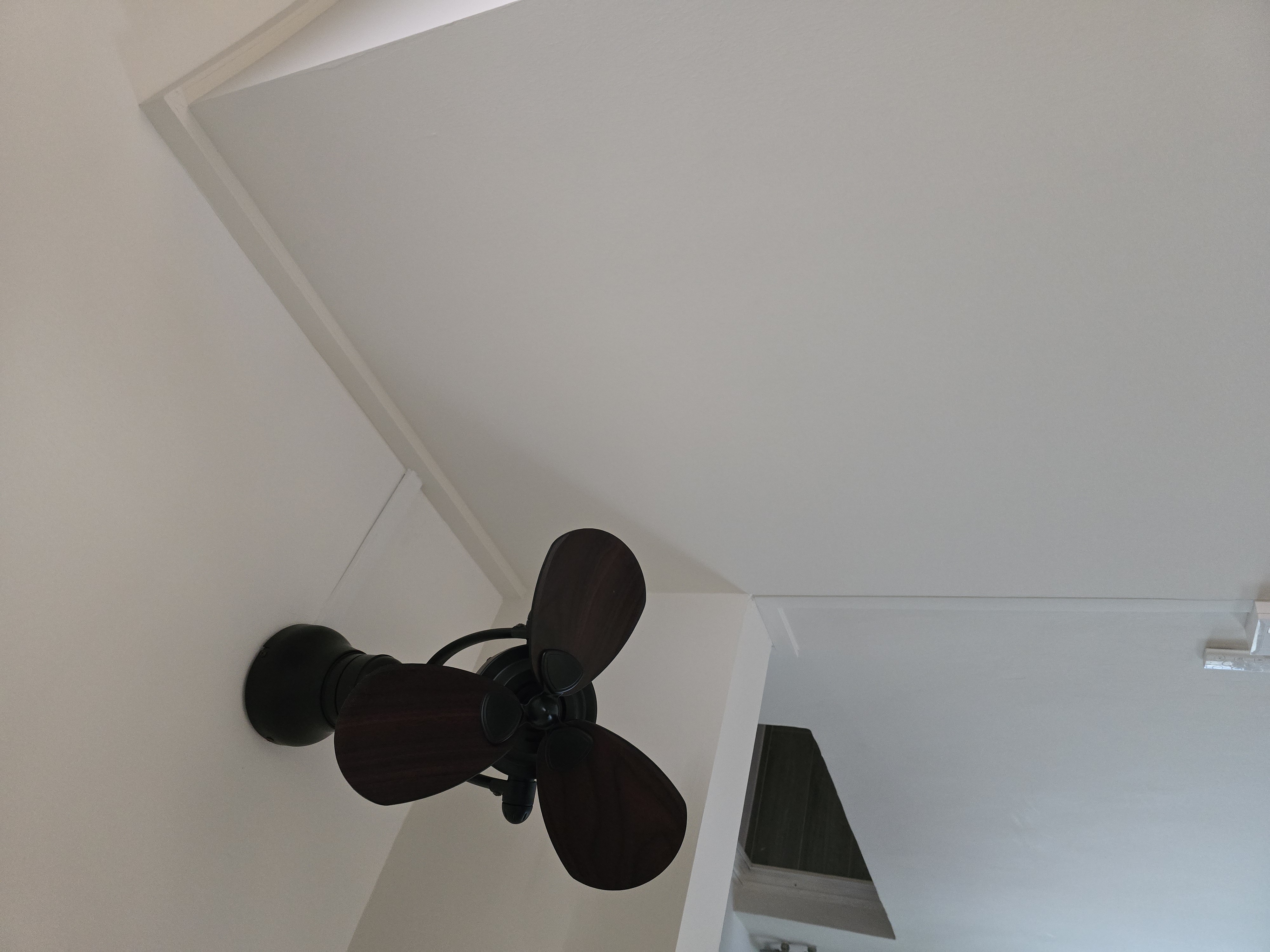 ~Lights and Fans in the House~