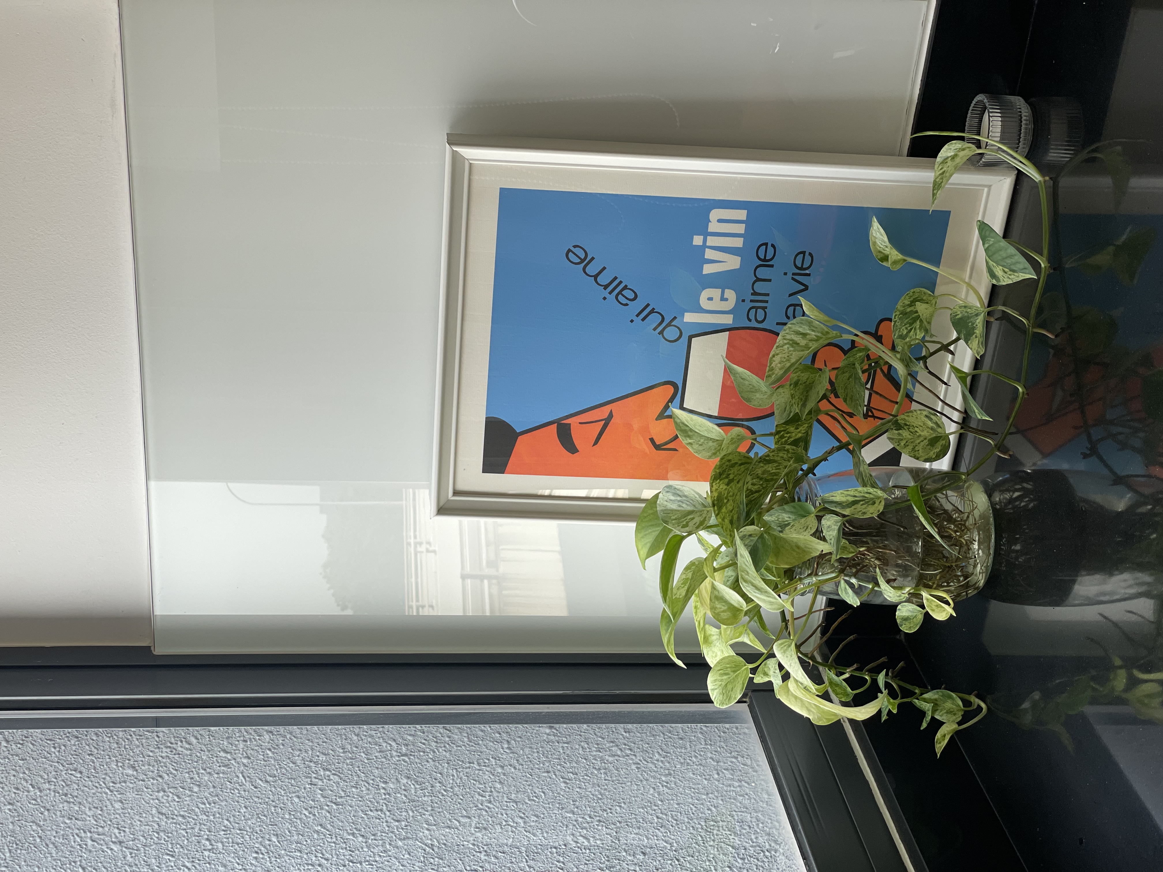 Plants! Plants! Plants! 🍃