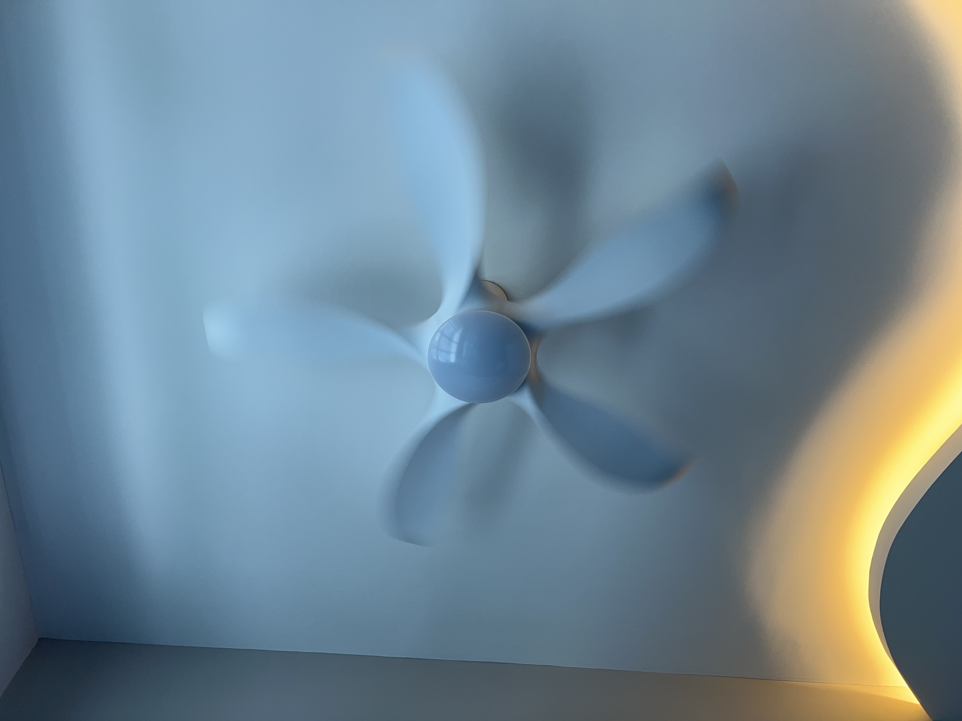 A Fan We Can’t Live Without (Literally)