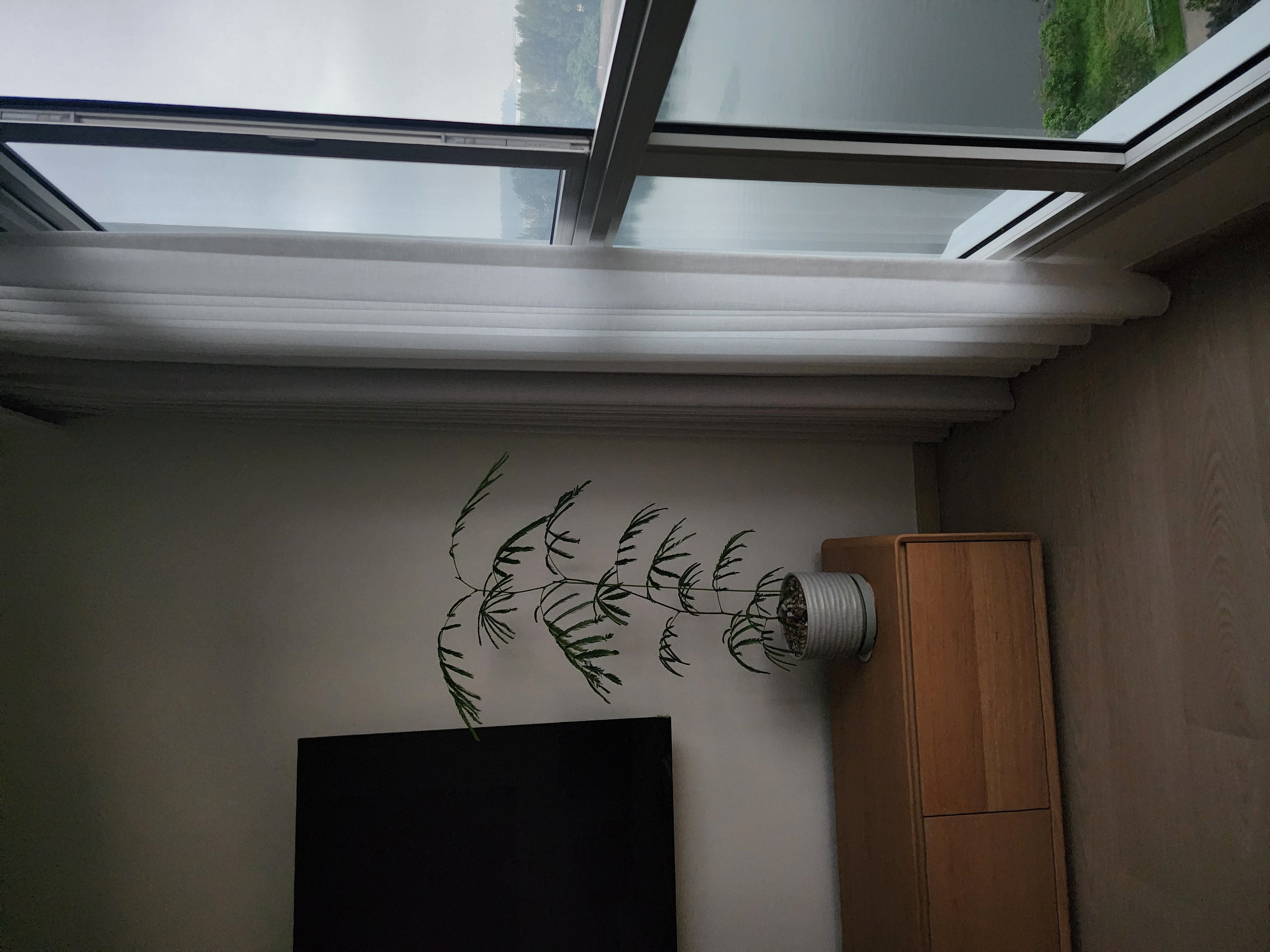 Best home investments: Needs vs wants.