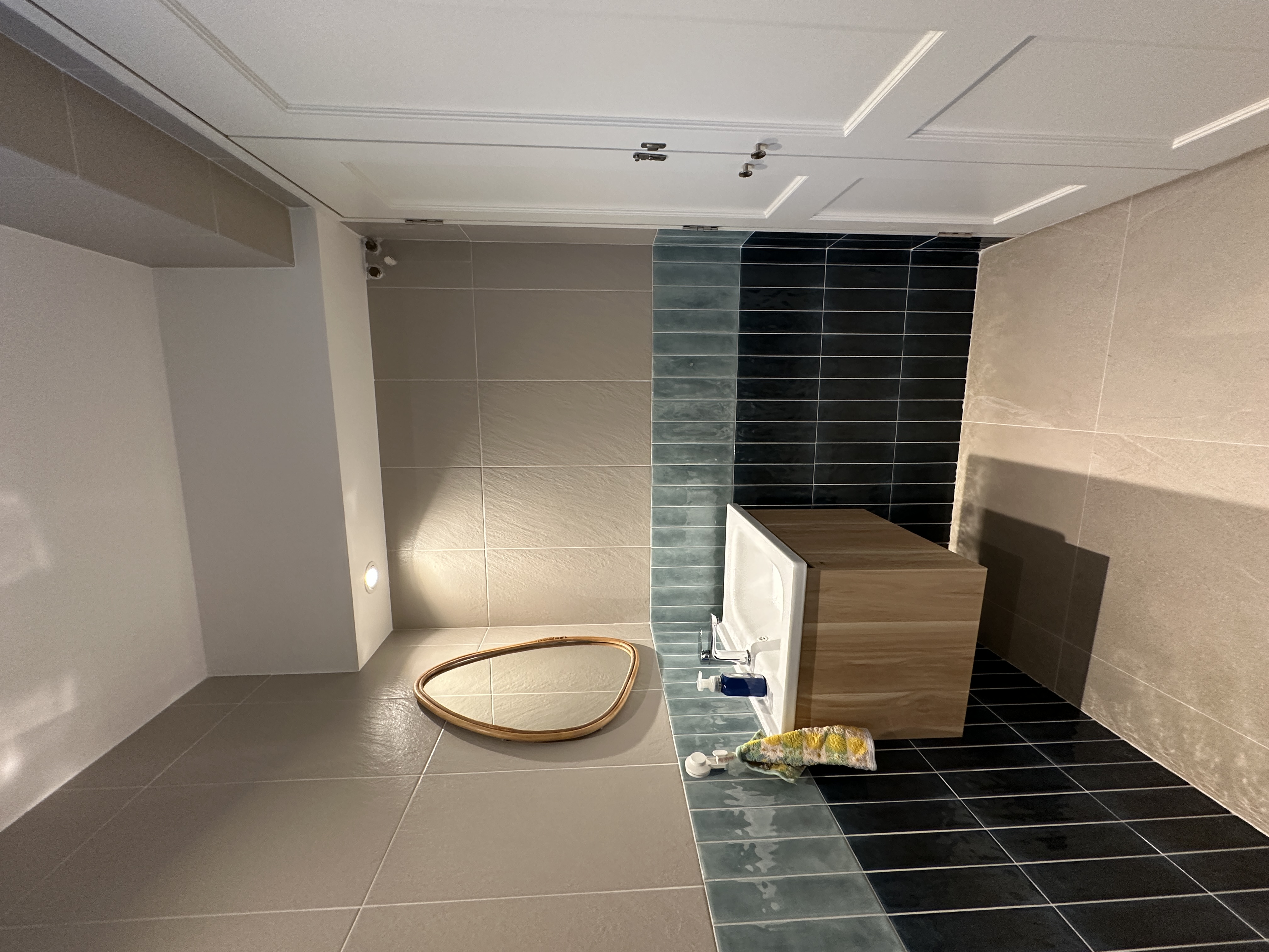From Render to Reality: Our Beach-Themed Common Bathroom
