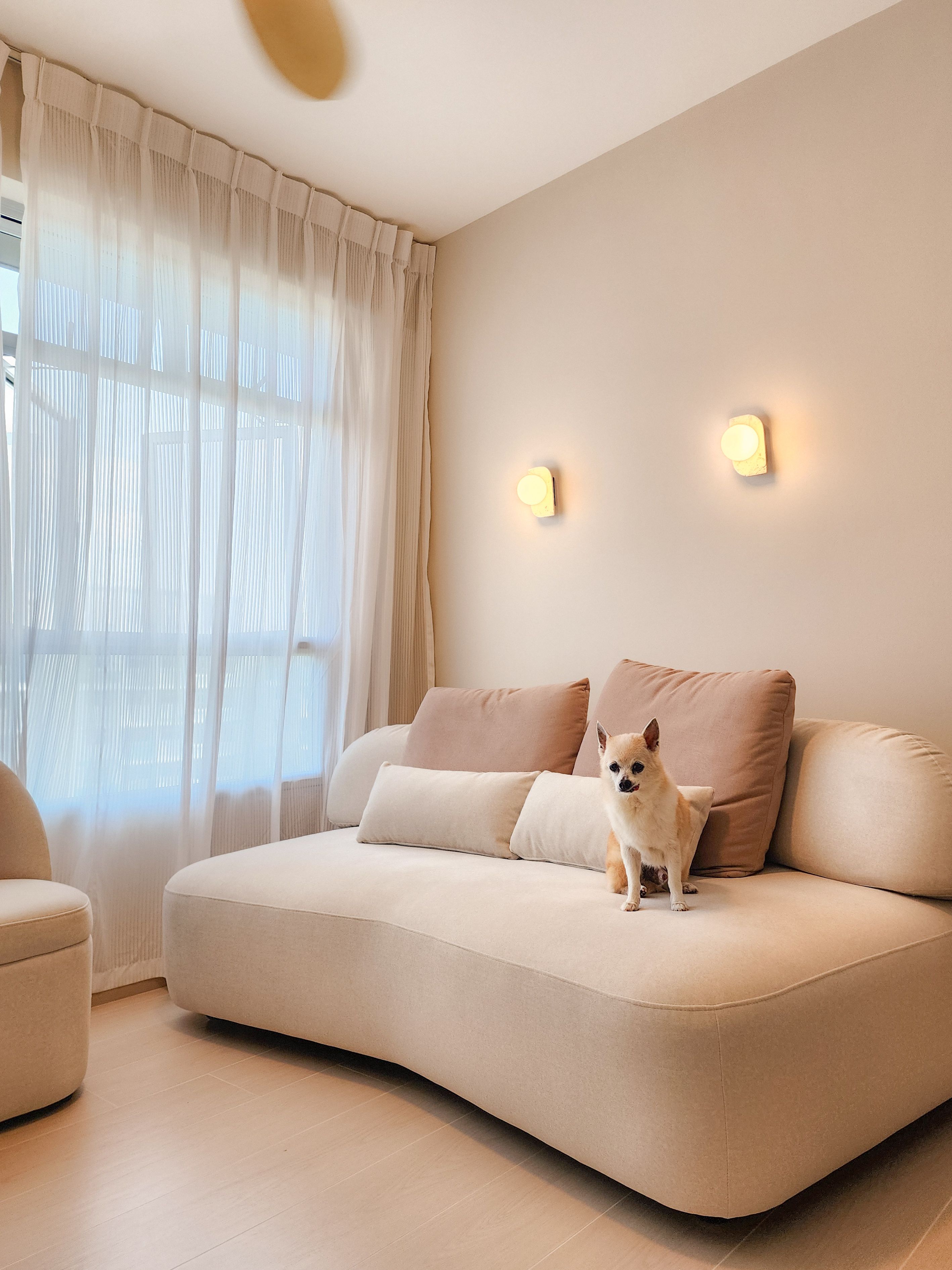 Lifestyle tips for a cozy and dog safe home