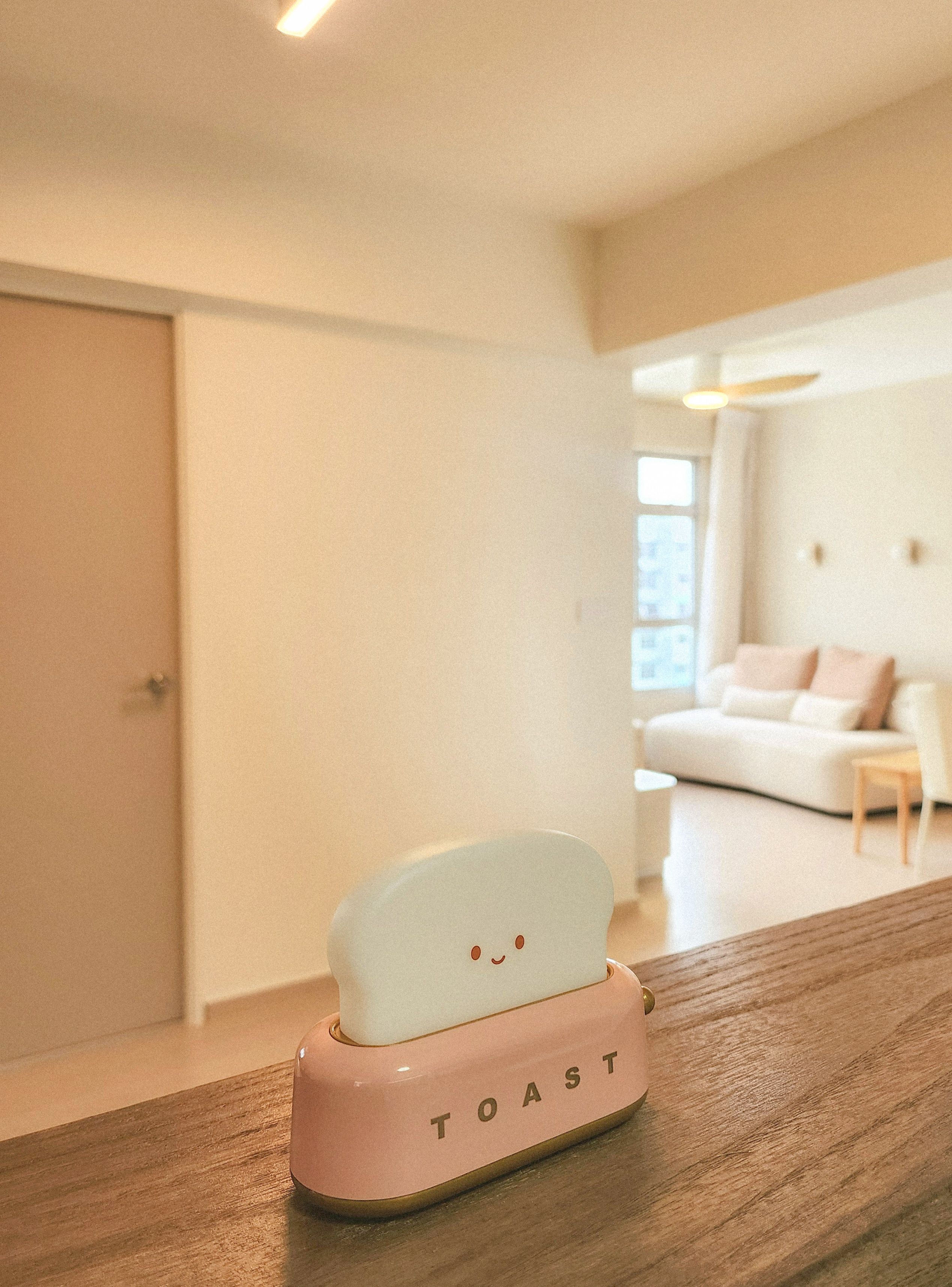 Lifestyle tips for a cozy and dog safe home