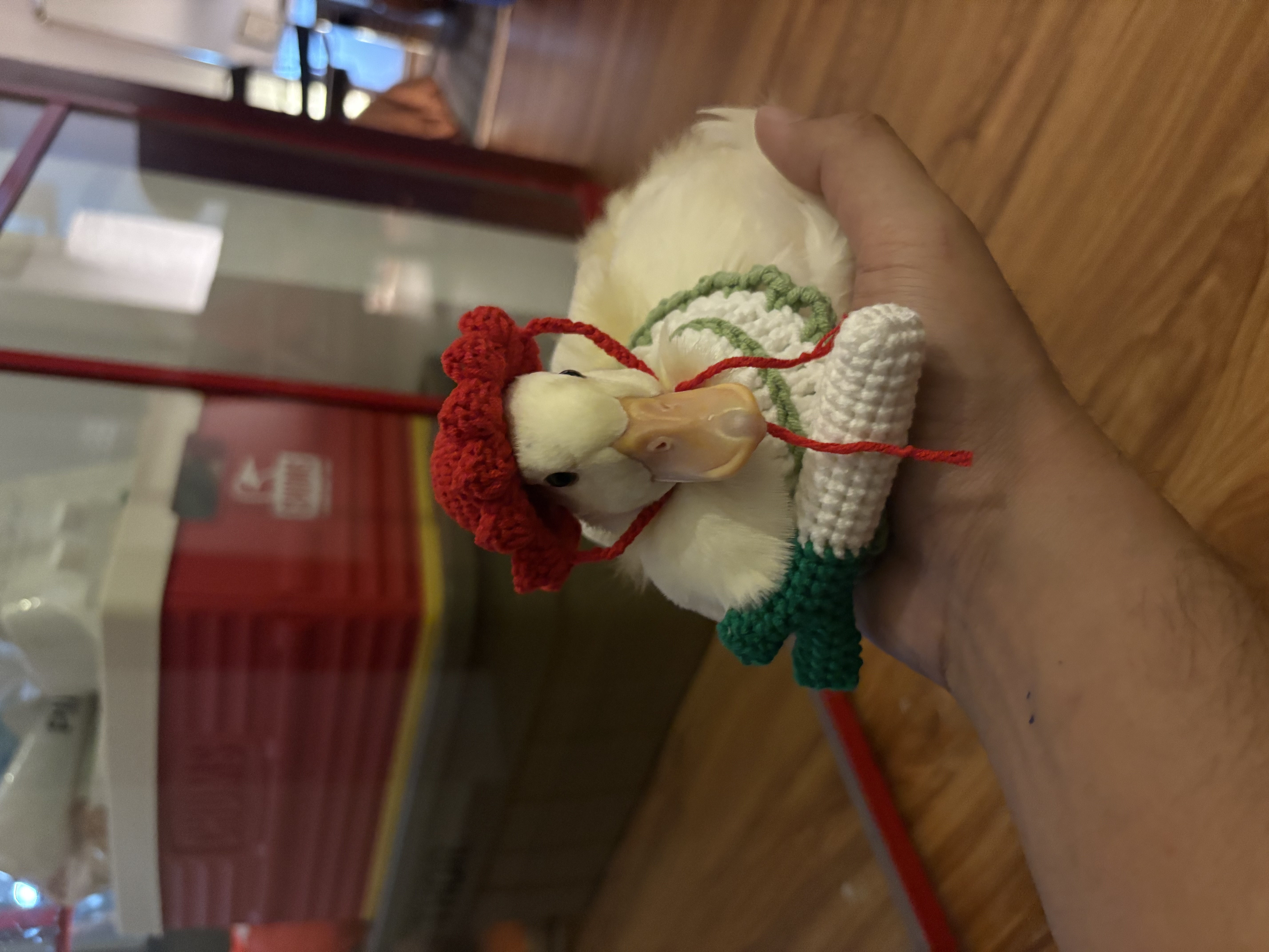 How we made a colorful “mismatched” house, match!