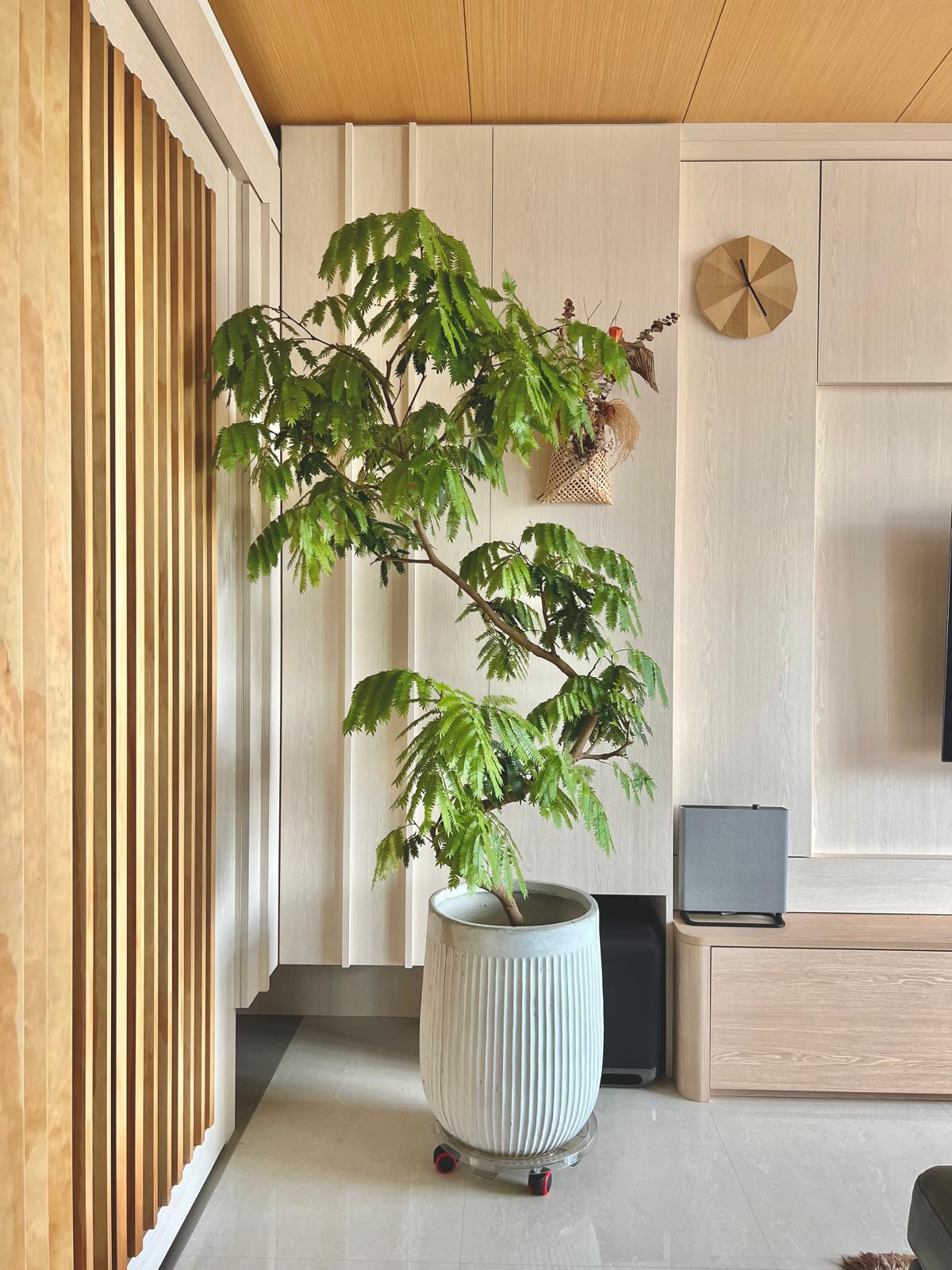 A-Green-Investment-That-Didn’t-Break-the-Bank