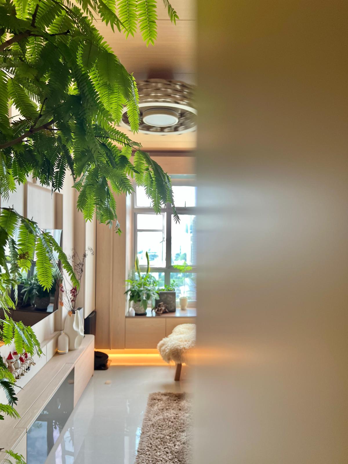 A Green Investment That Didn’t Break the Bank