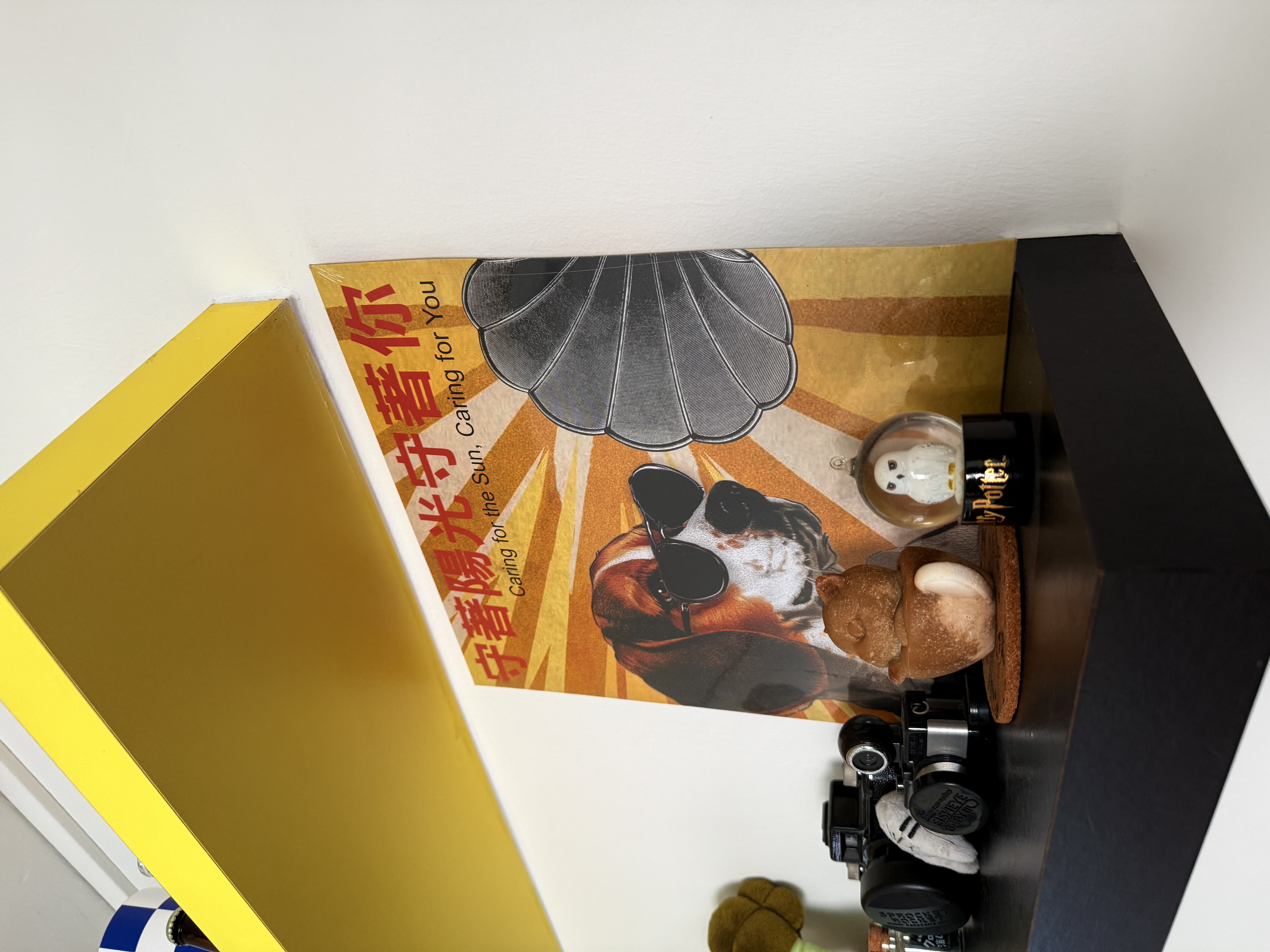 All things colourful.