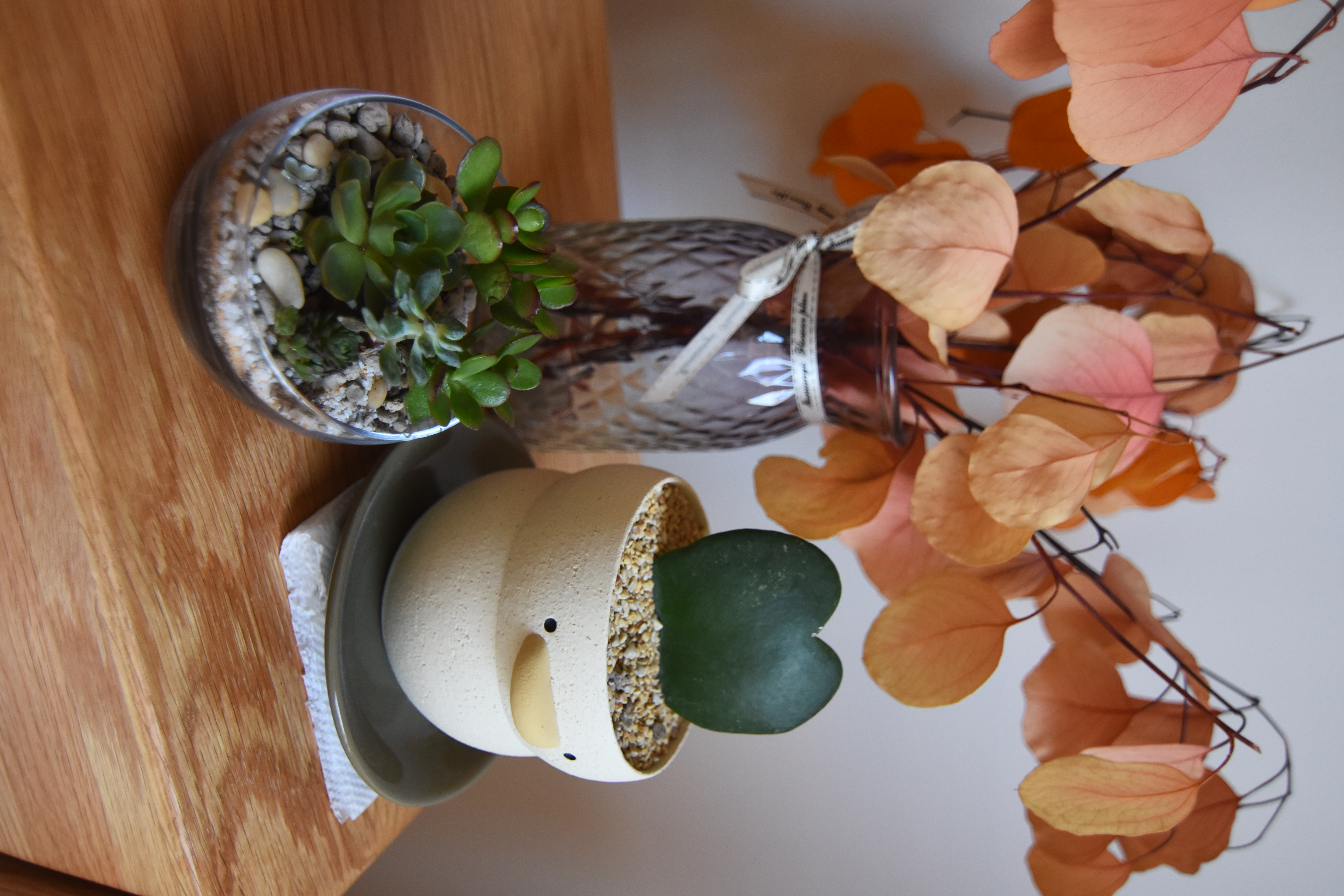 Our-little-touches-of-‘green’