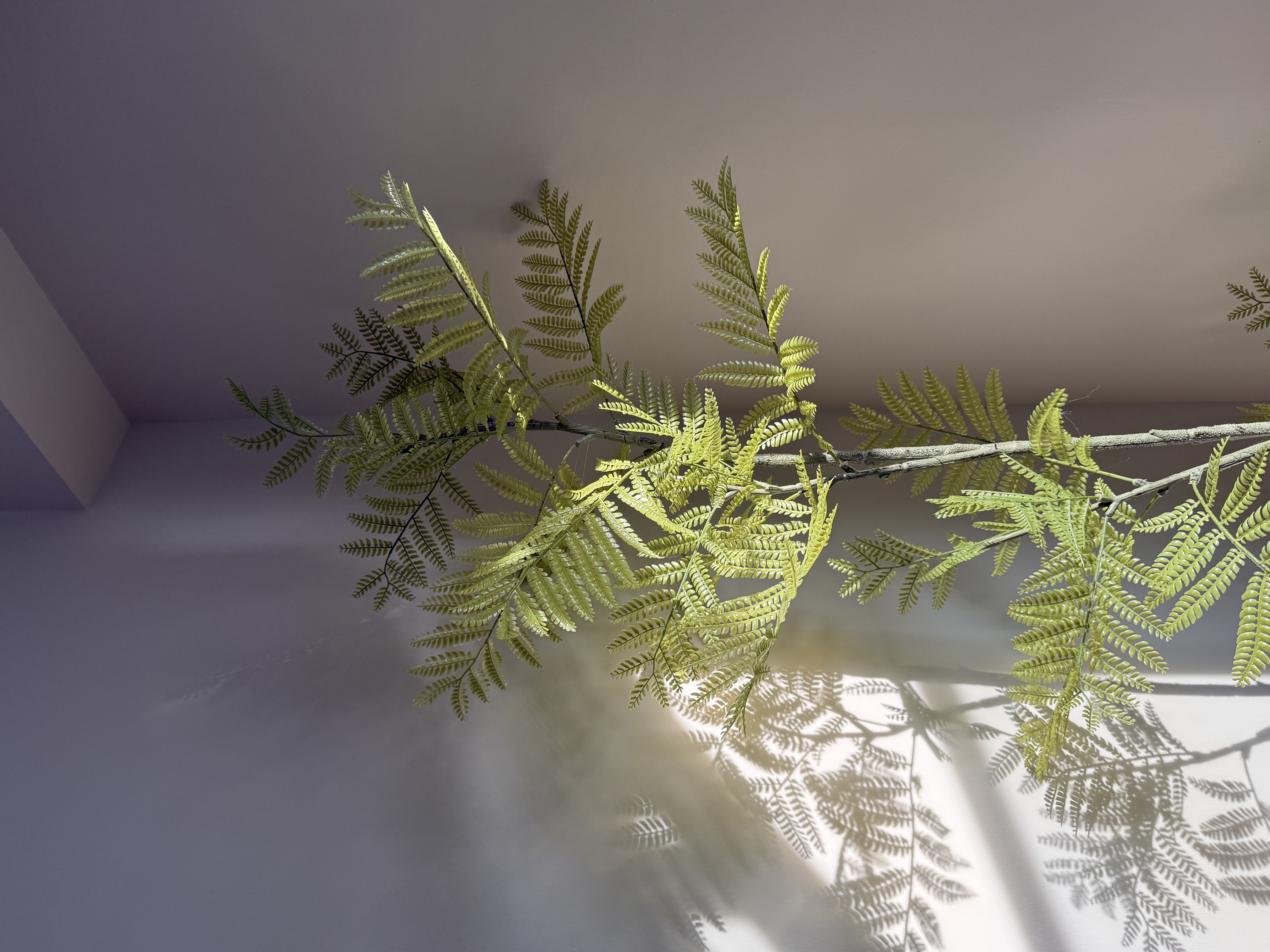 Our little touches of ‘green’