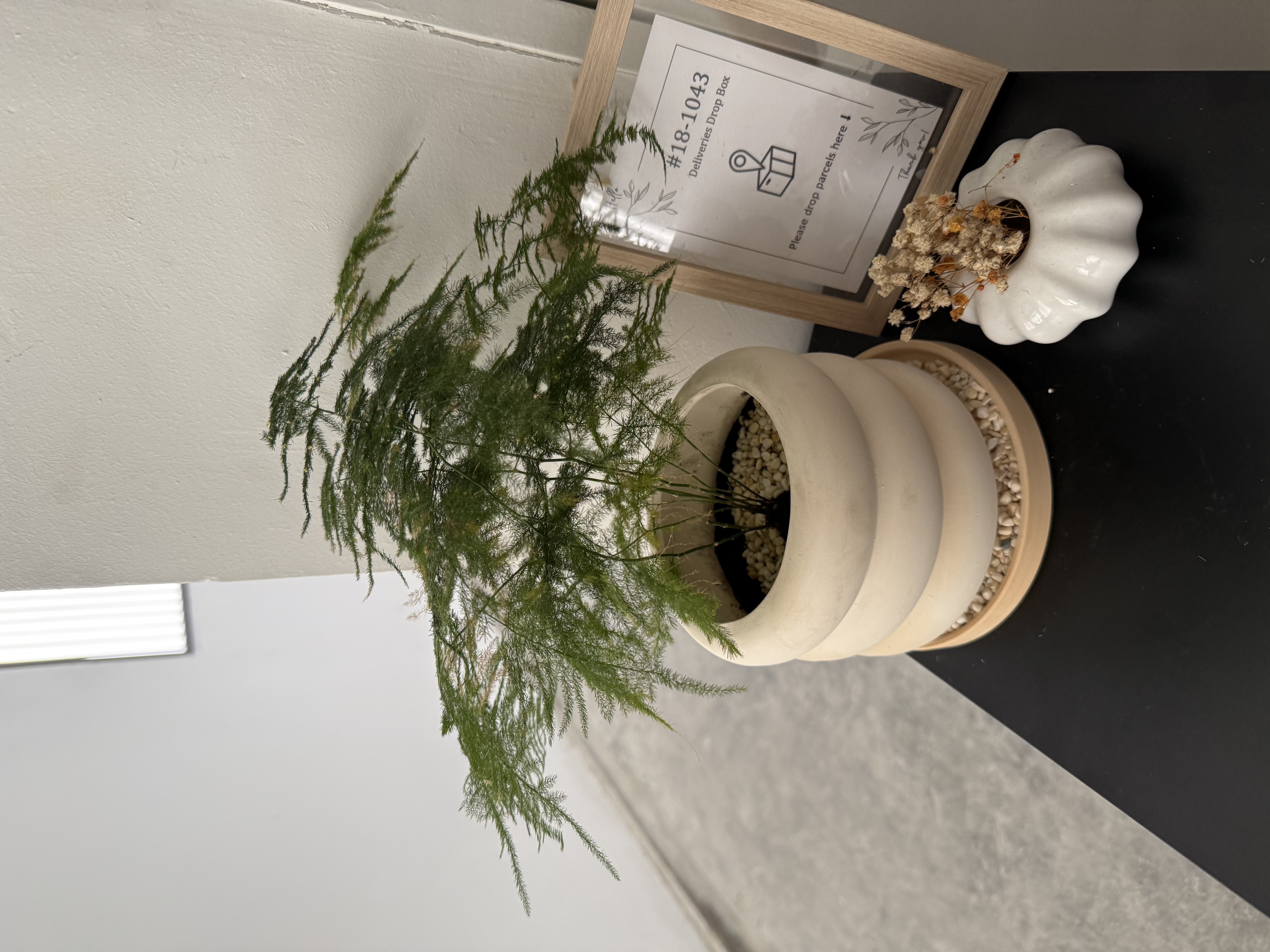 Our little touches of ‘green’