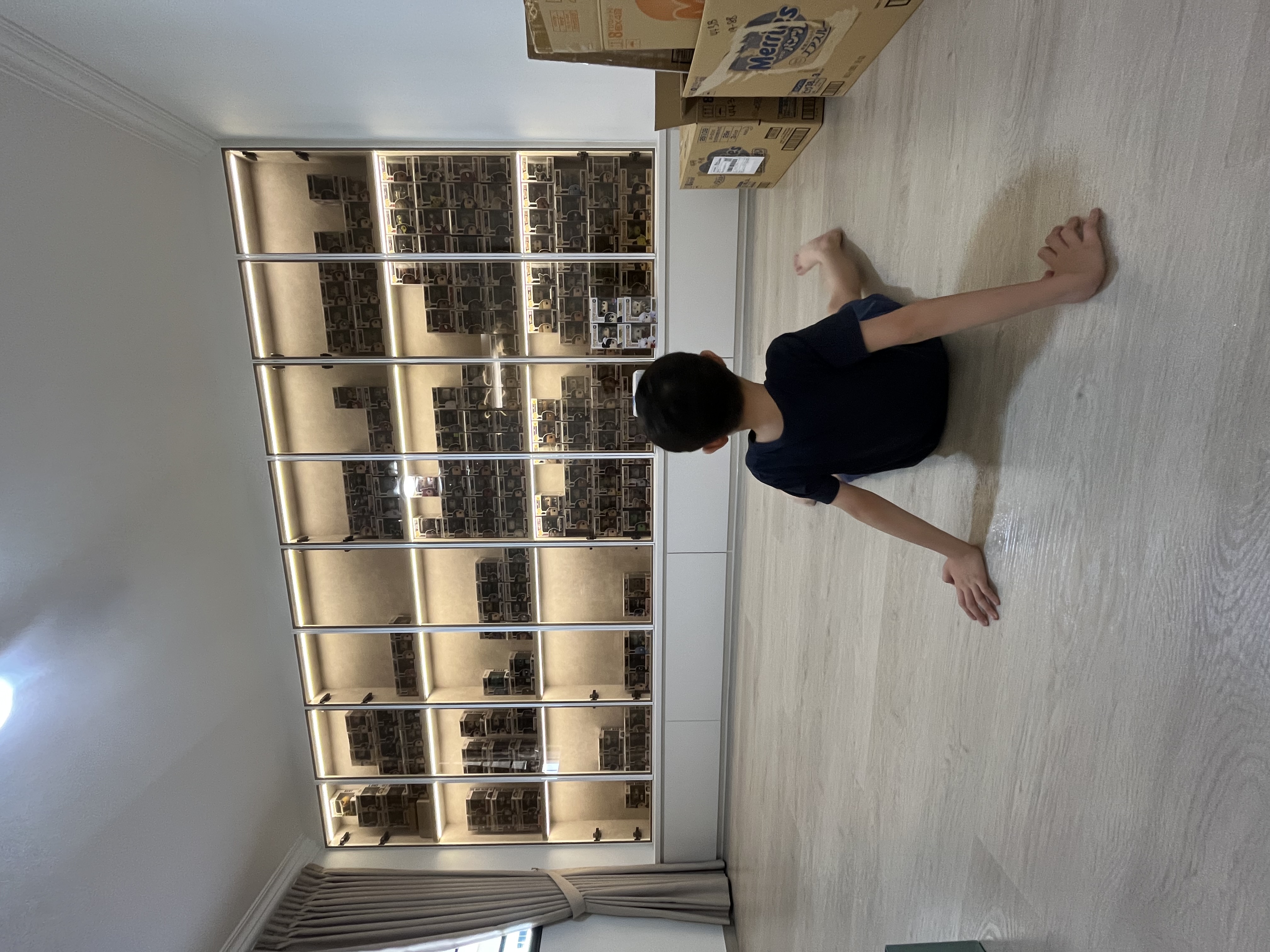 The-real-cost-of-displaying-your-collection!