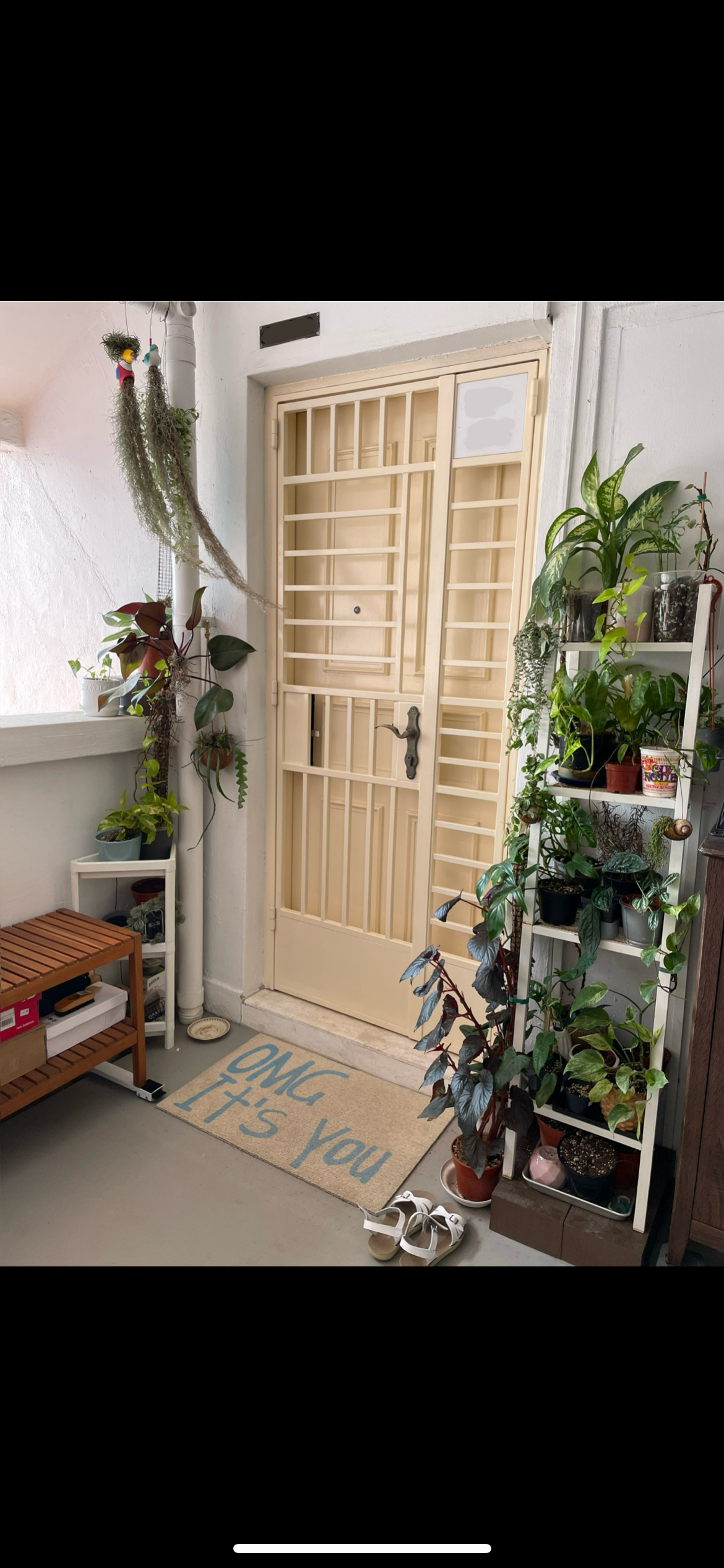 Our Thrifted Jungle Entryway: A Plant Daddy Portal To Our Home