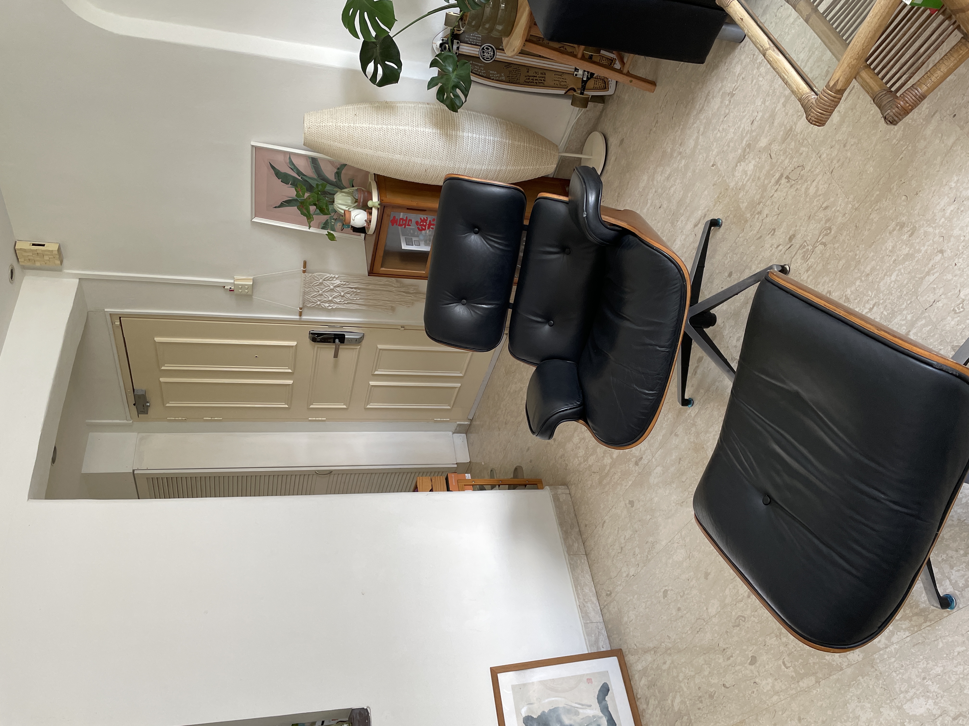 Our Thrifted Jungle Entryway: A Plant Daddy Portal To Our Home