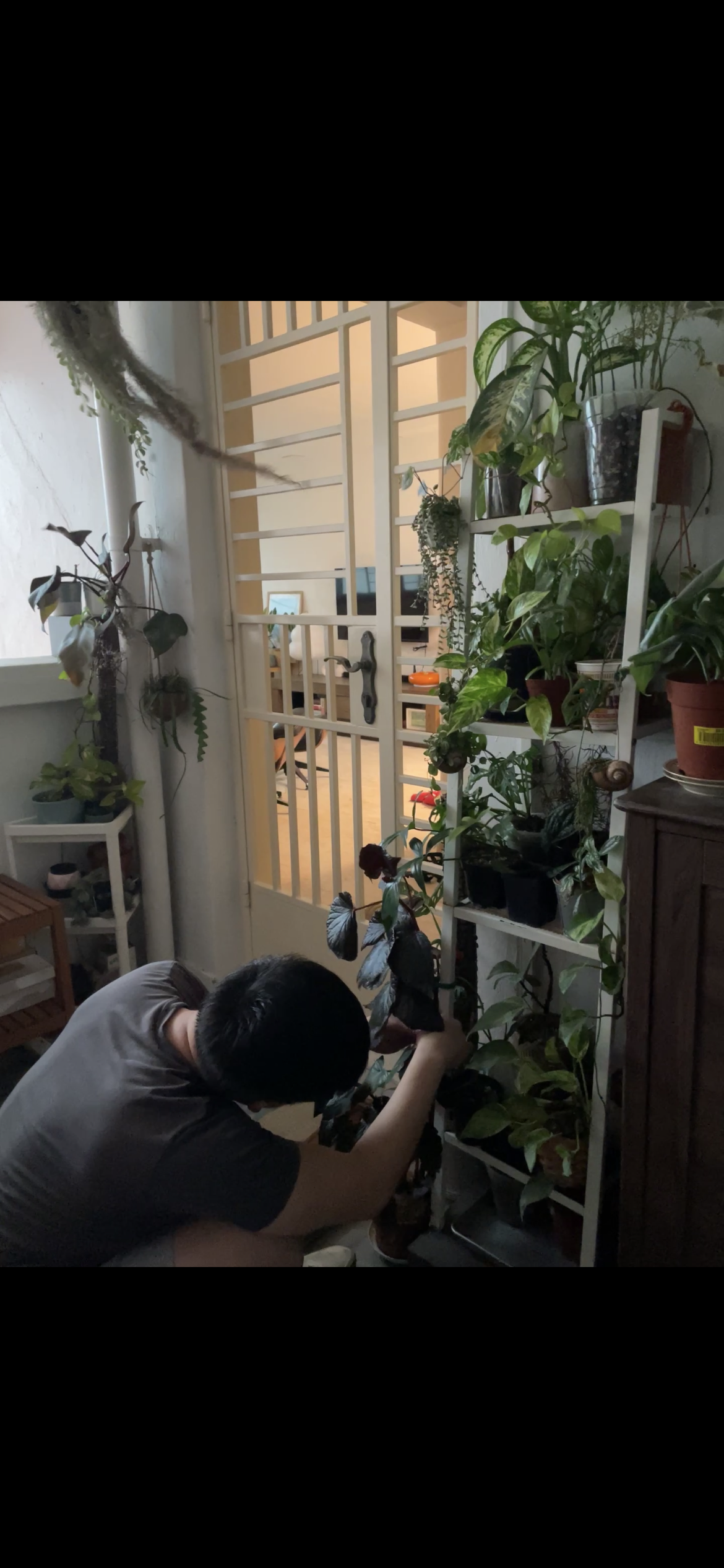 Our-Thrifted-Jungle-Entryway:-A-Plant-Daddy-Portal-To-Our-Home