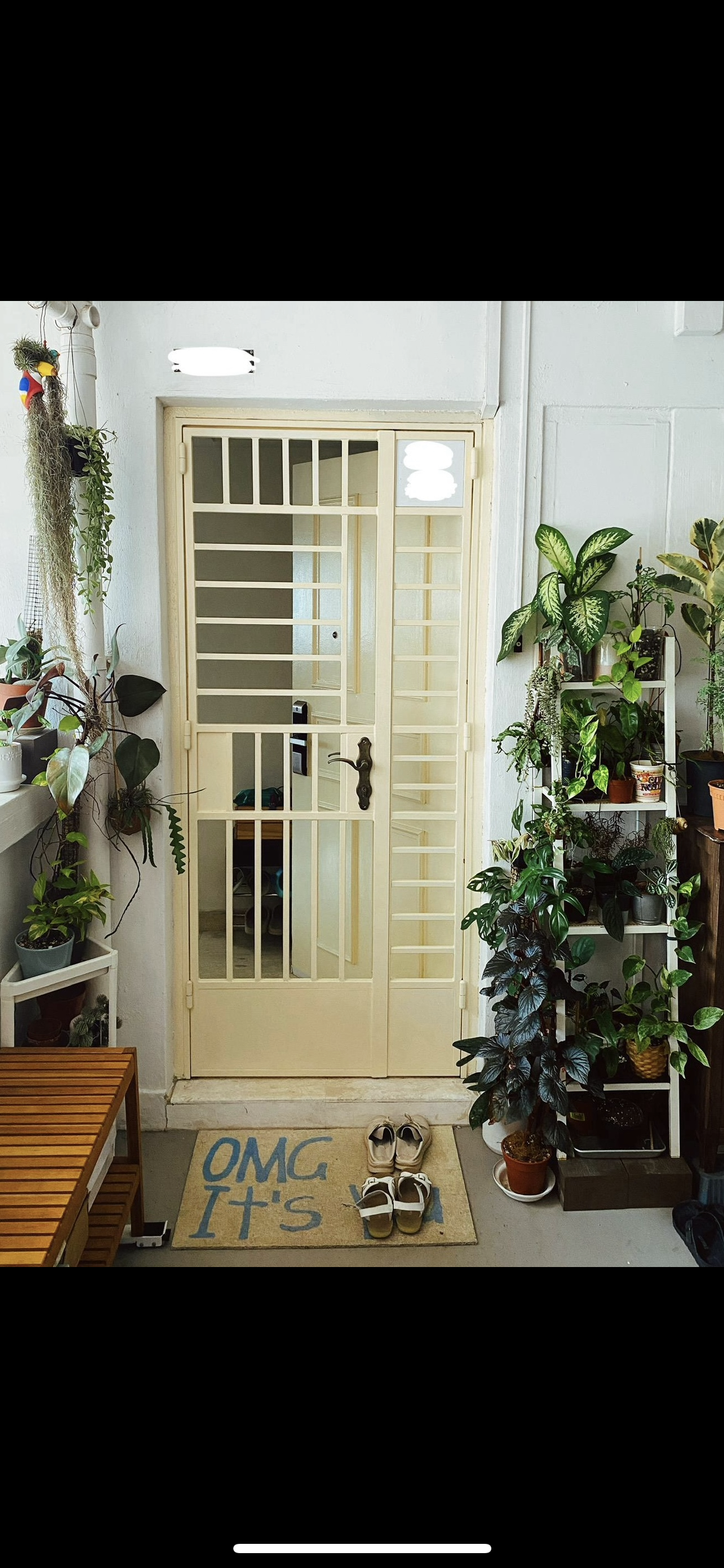Our-Thrifted-Jungle-Entryway:-A-Plant-Daddy-Portal-To-Our-Home