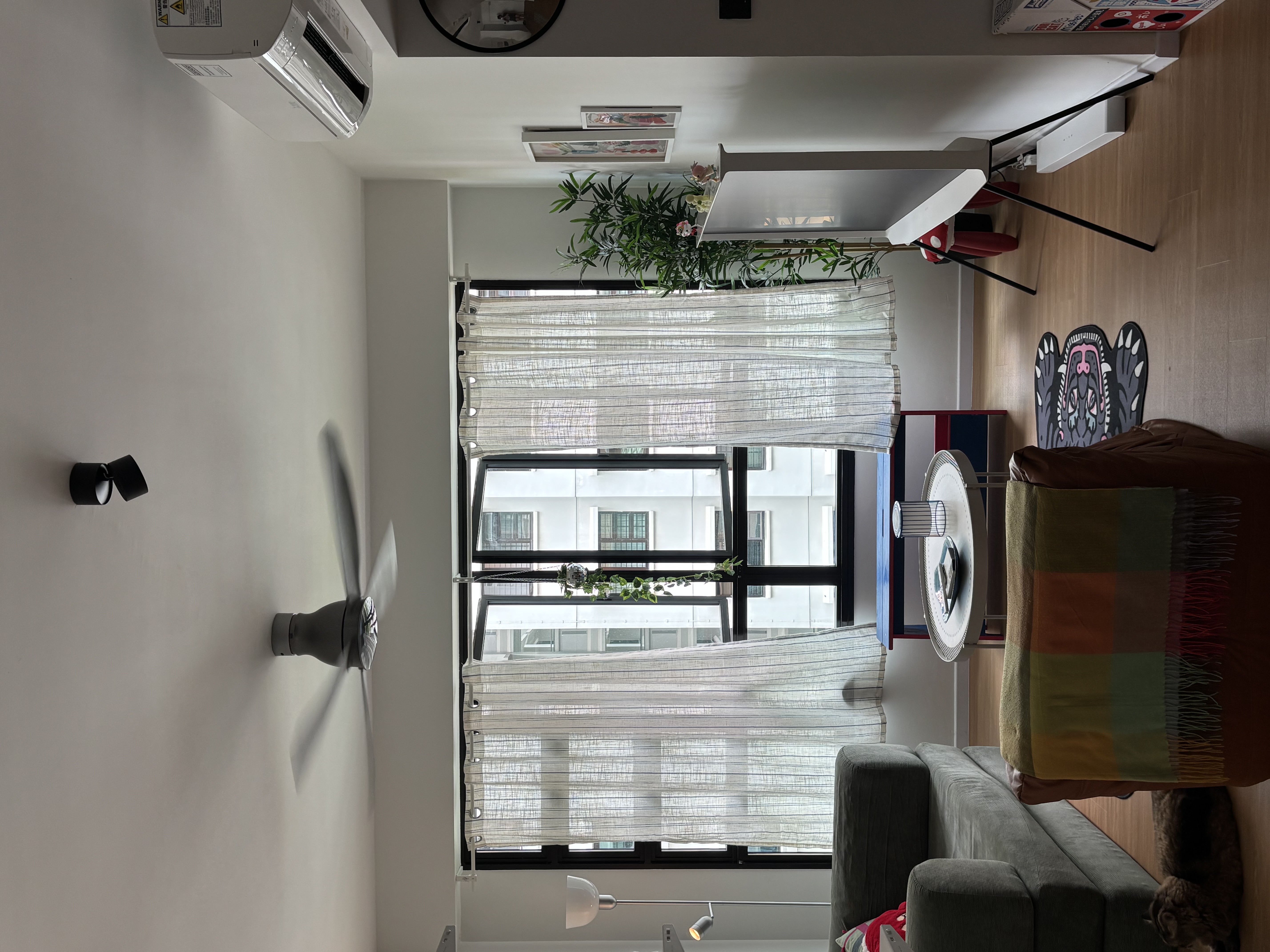 Welcome To Our Organised Mess 🫟