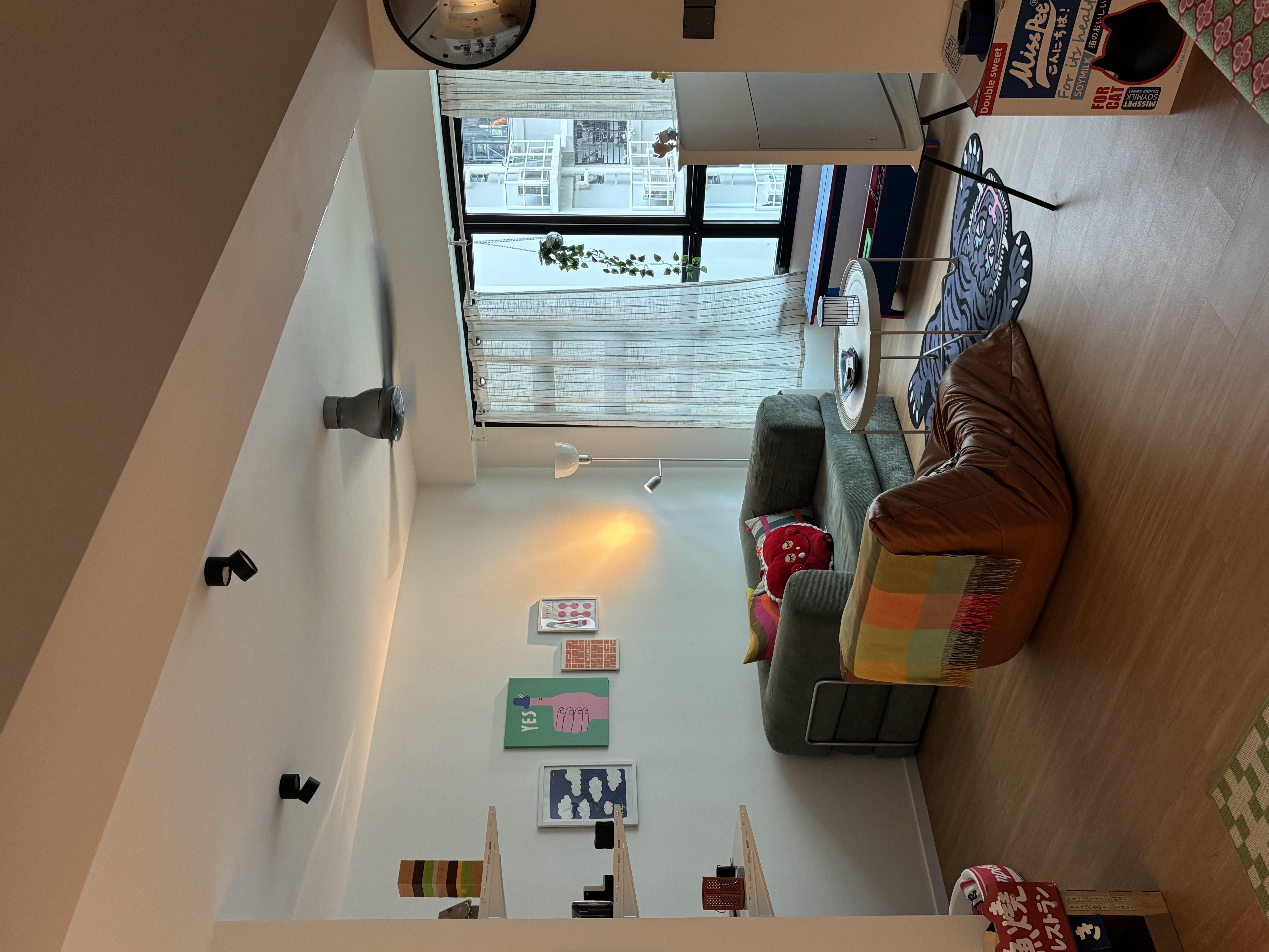 Welcome To Our Organised Mess 🫟